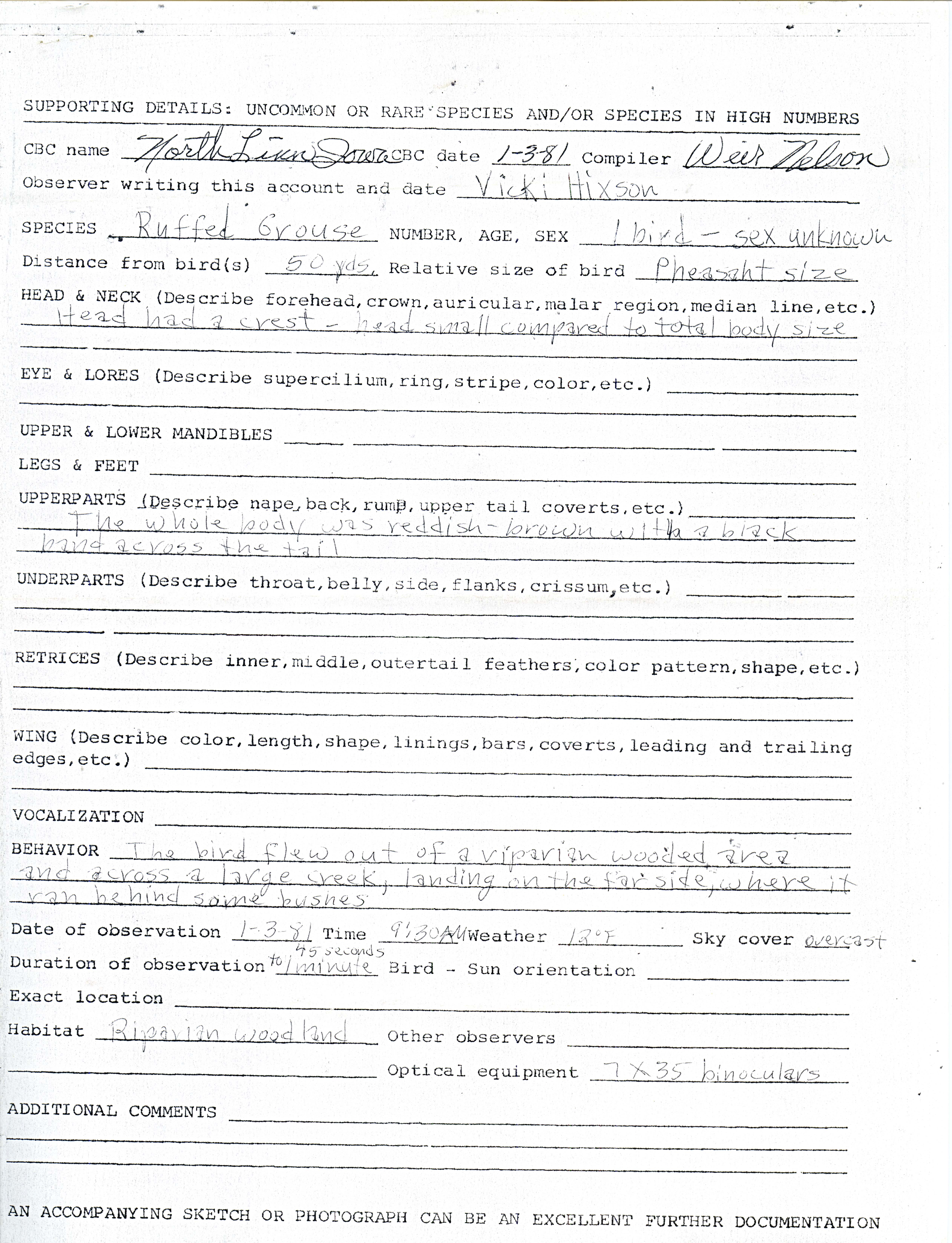 Supporting details form for Ruffed Grouse sighting submitted by Vicki Hixon, January 3 1981