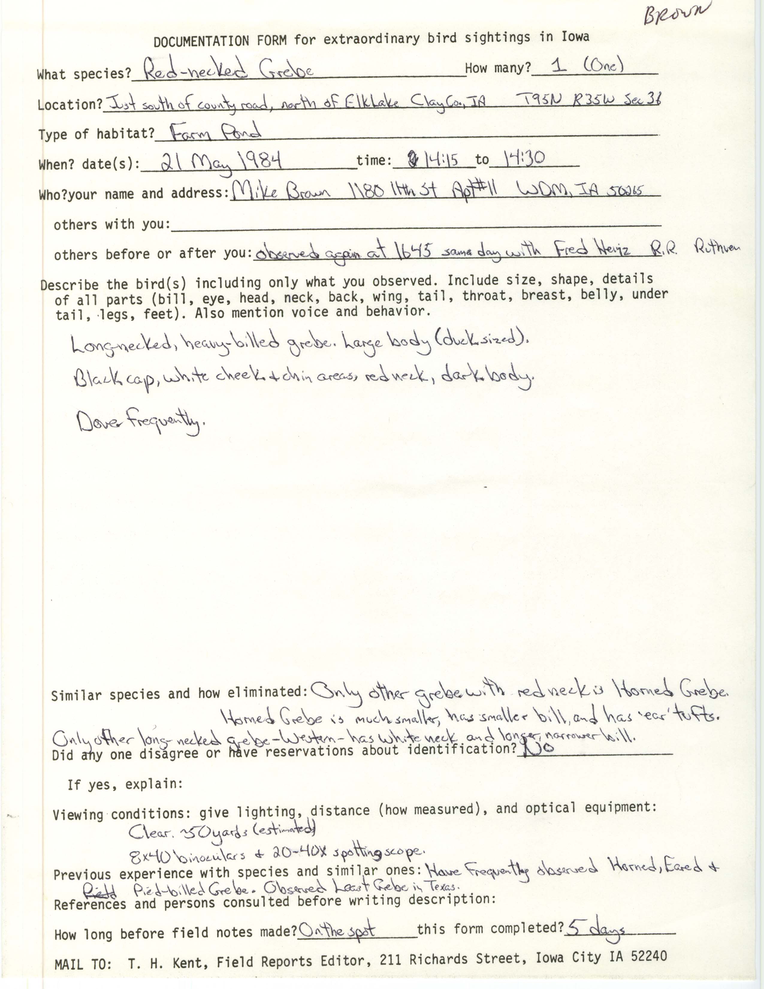 Rare bird documentation form for Red-necked Grebe at Elk Lake, 1984
