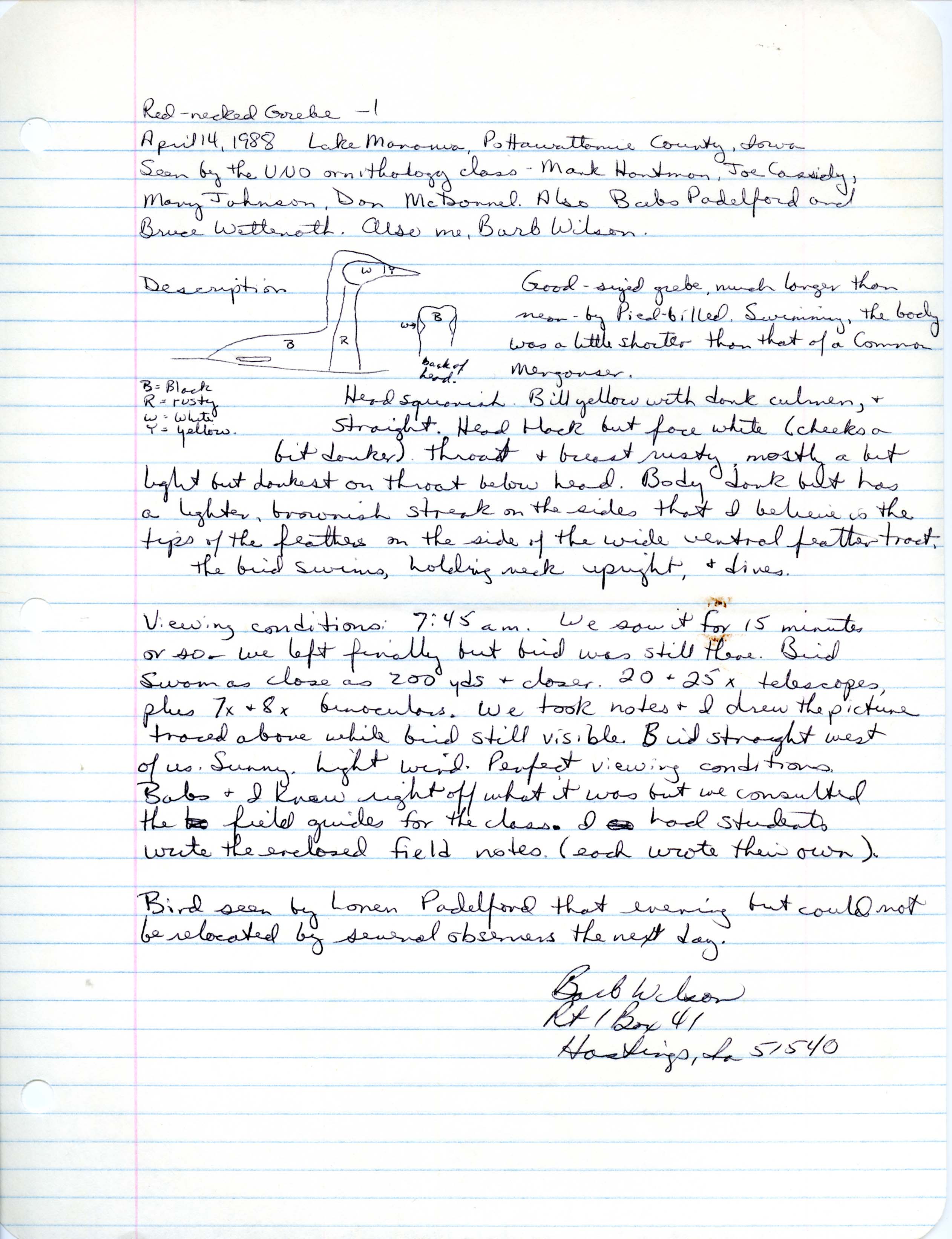 Rare bird documentation form for Red-necked Grebe at Lake Manawa, 1988