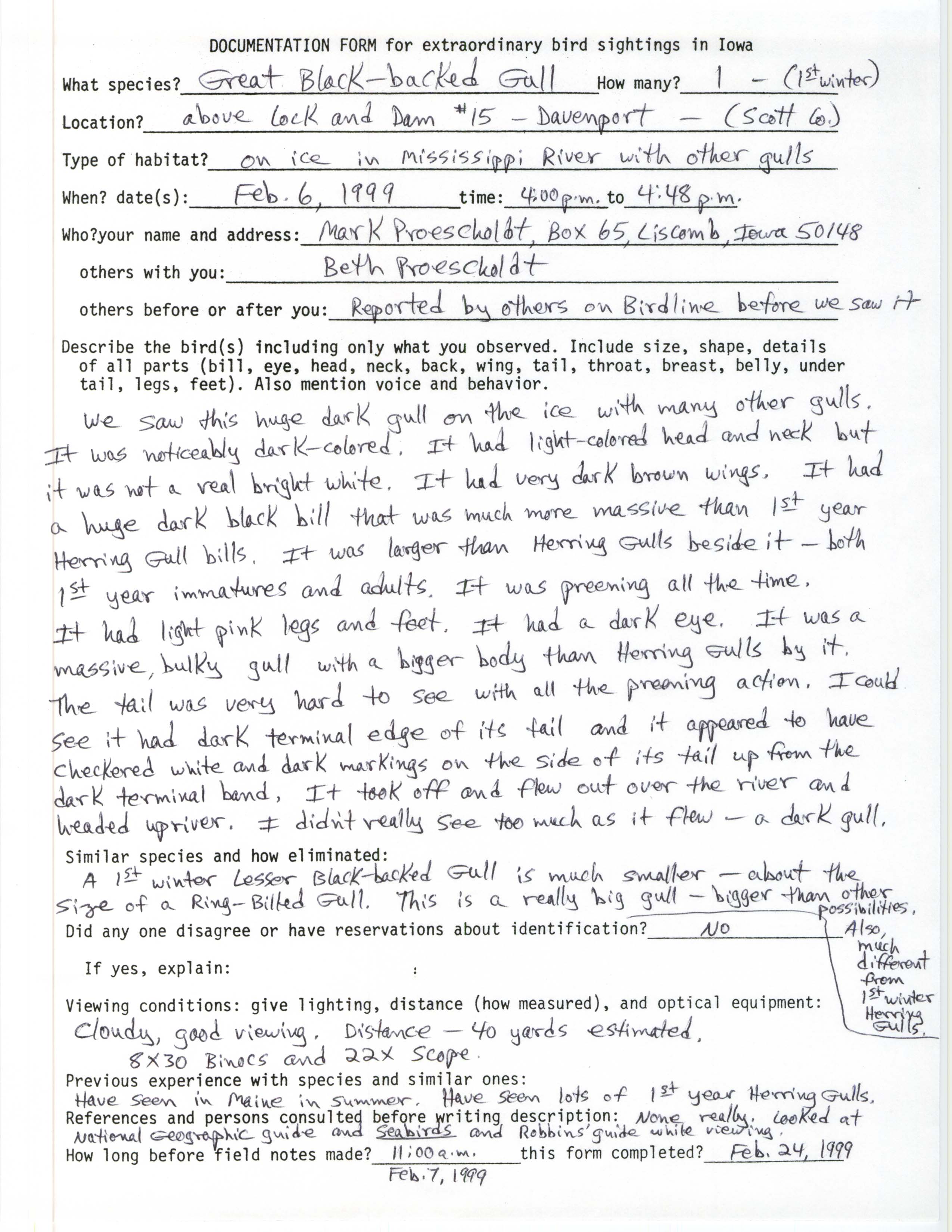 Rare bird documentation form for Great Black-backed Gull at Lock and Dam 15, 1999
