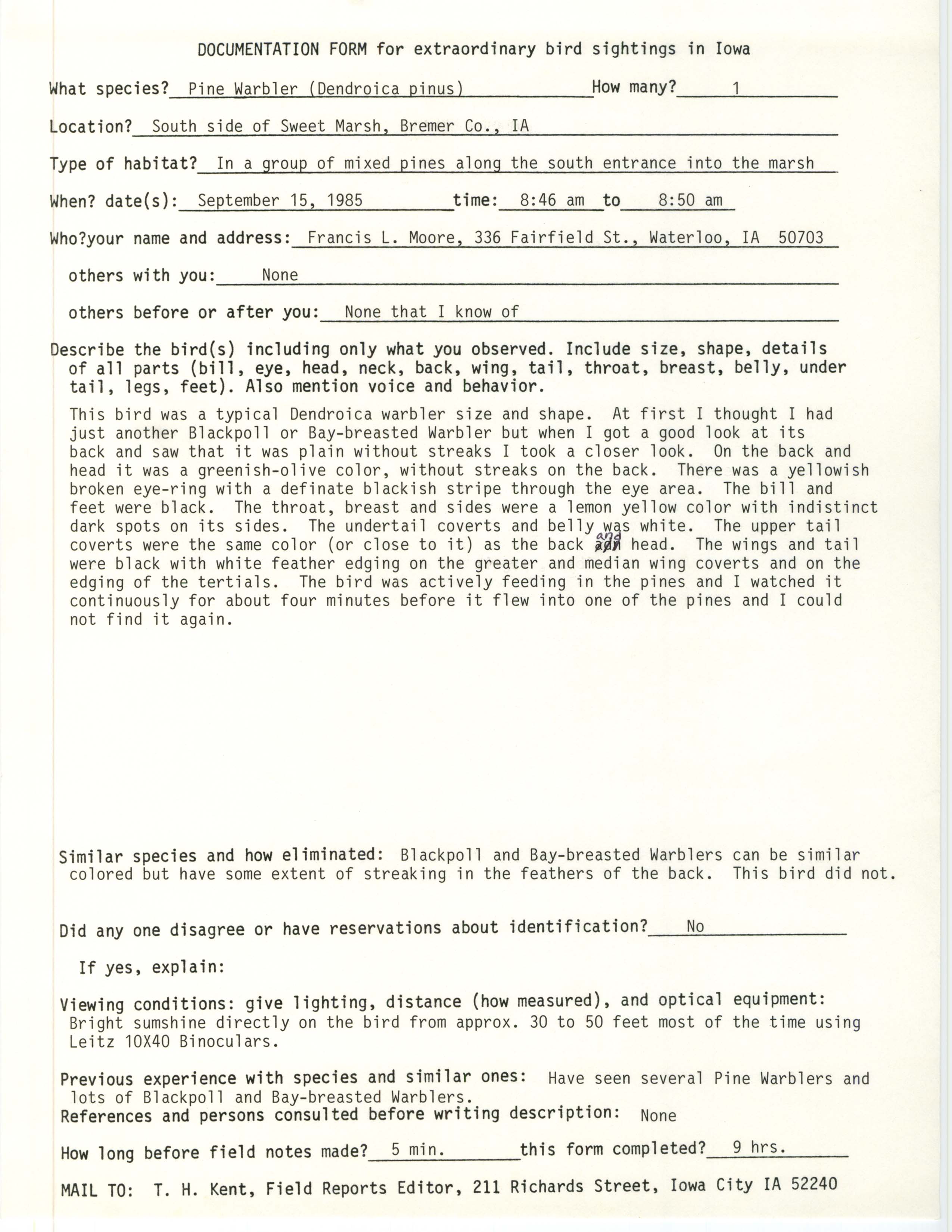 Rare bird documentation form for Pine Warbler at Sweet Marsh, 1985
