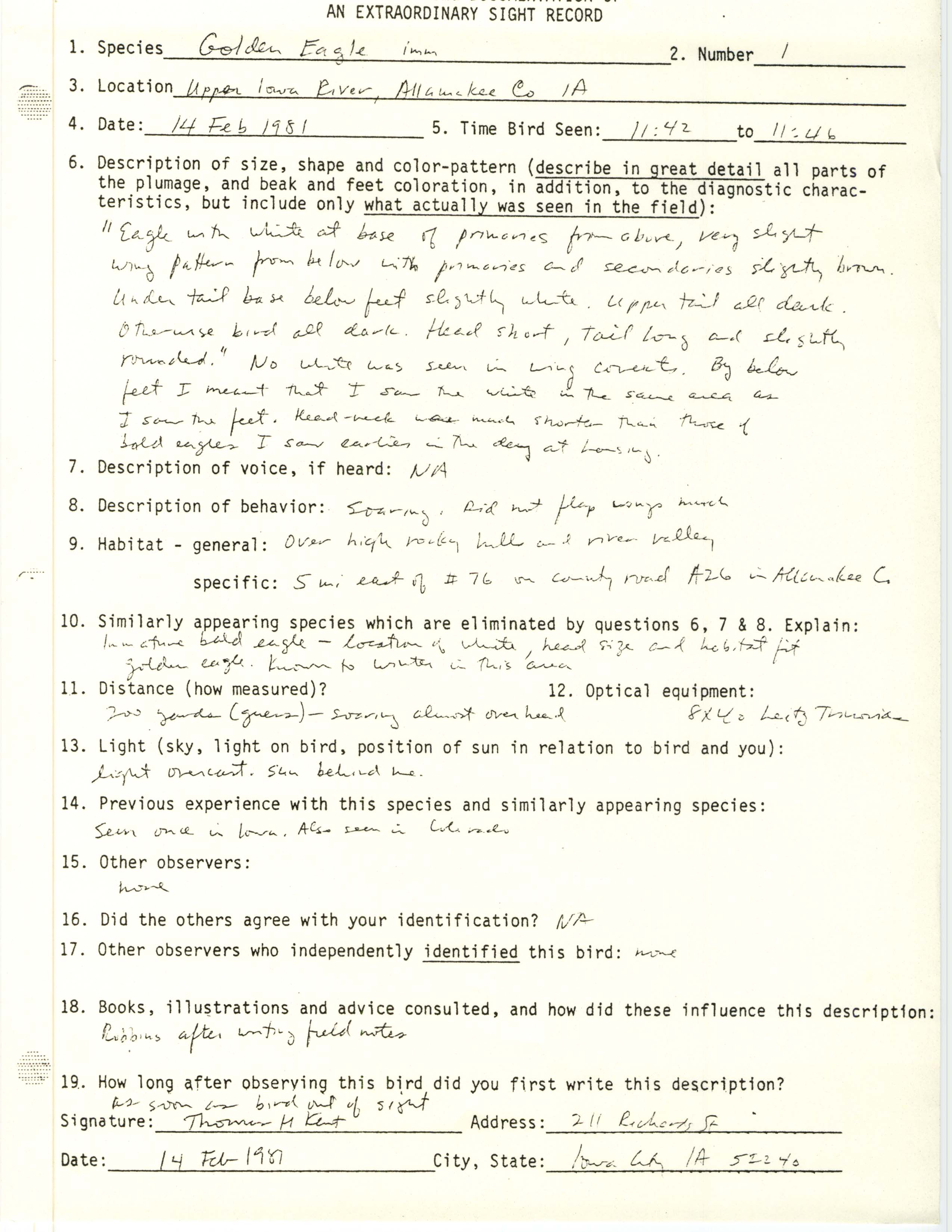 Rare bird documentation form for Golden Eagle at Upper Iowa River in Allamakee County, 1981