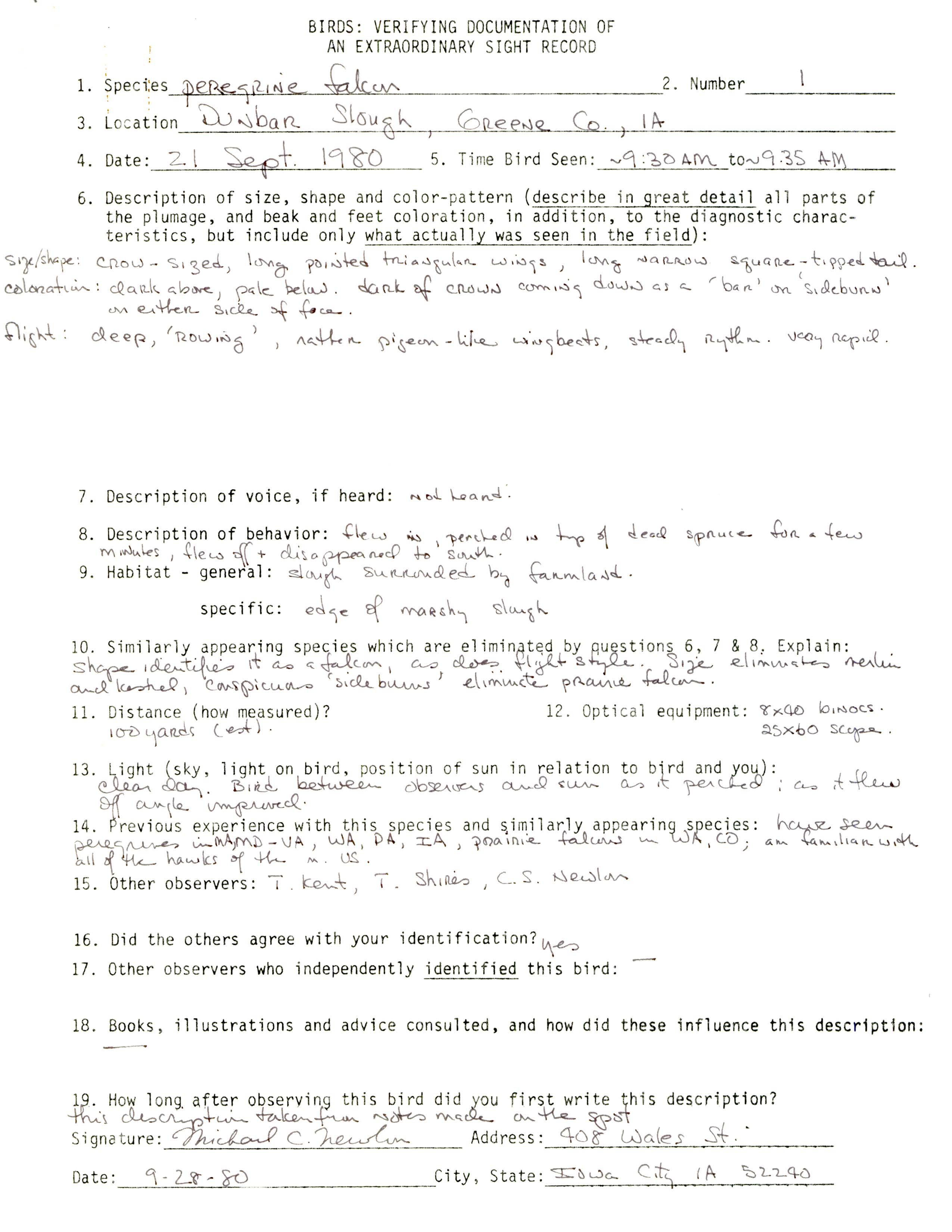 Rare bird documentation form for Peregrine Falcon at Dunbar Slough, 1980