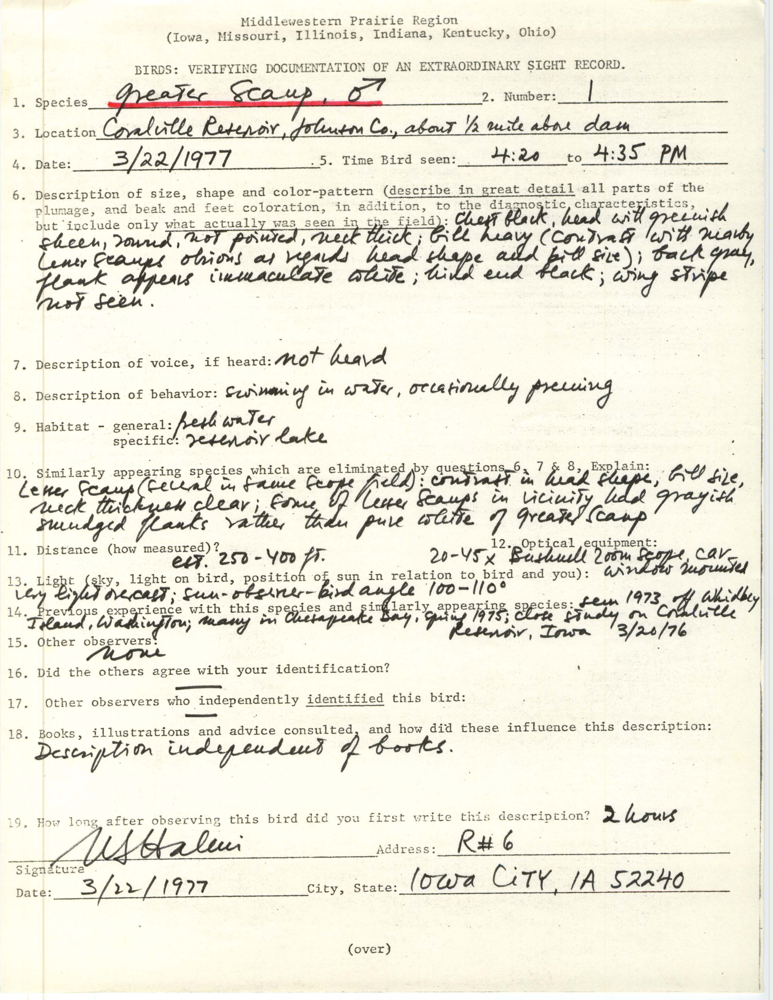 Rare bird documentation form for Greater Scaup at Coralville Reservoir, 1977