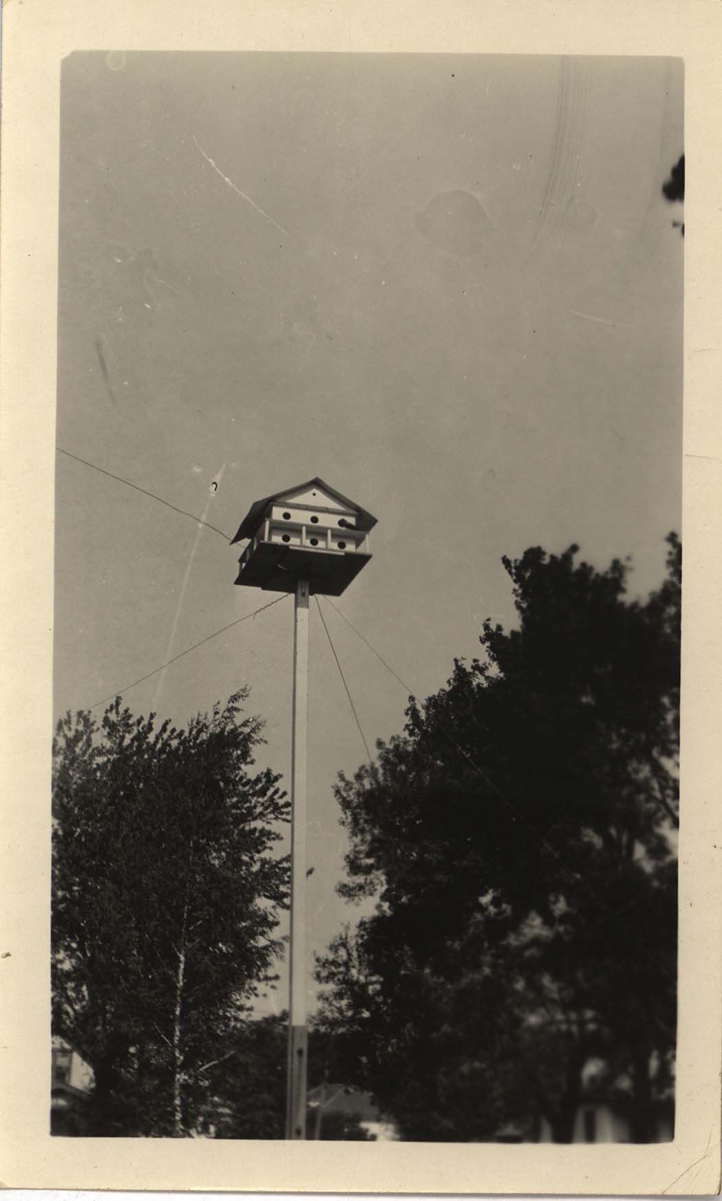 Photograph of a Purple Martin house on a pole