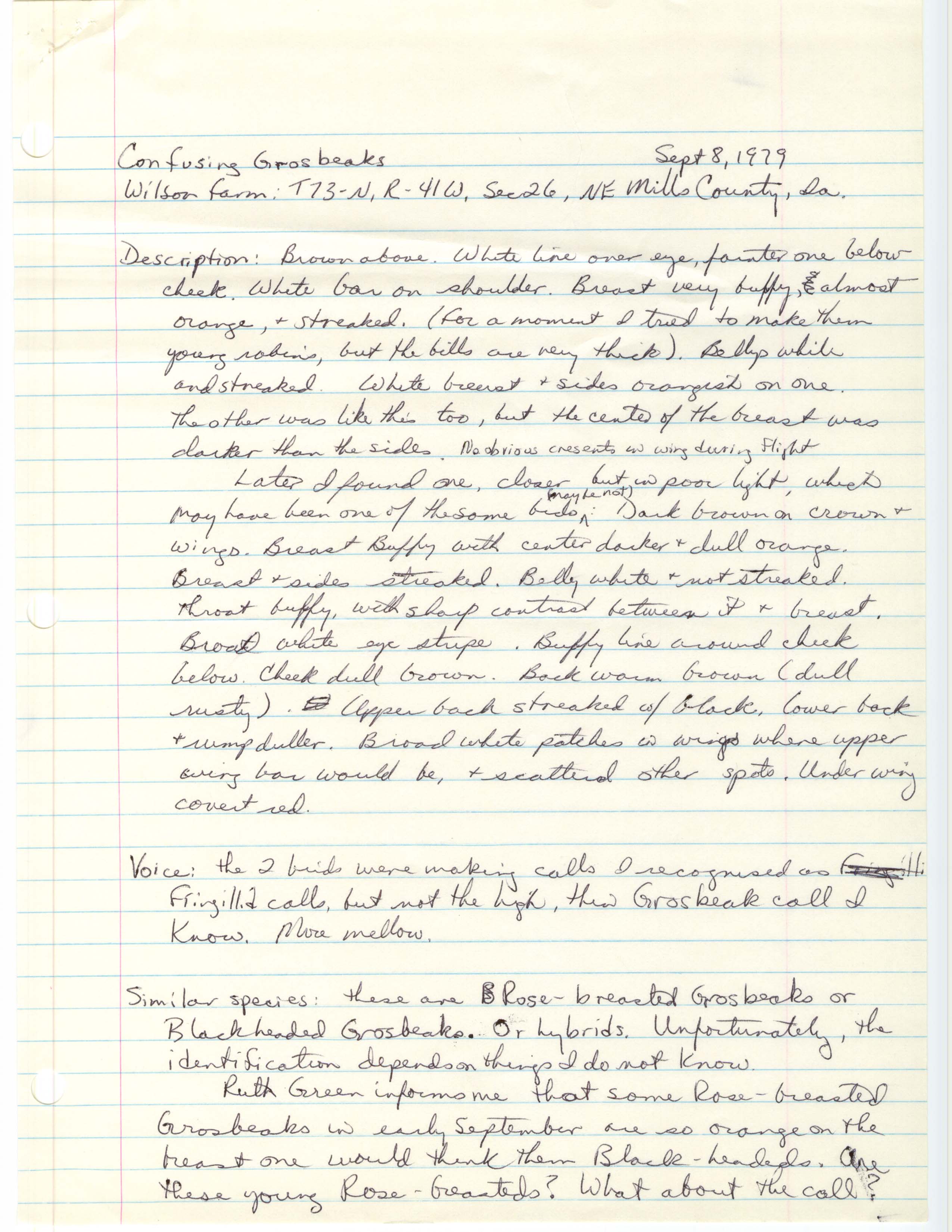 Rare bird documentation form for an unidentified Grosbeak at Anderson Township in Mills County, 1979