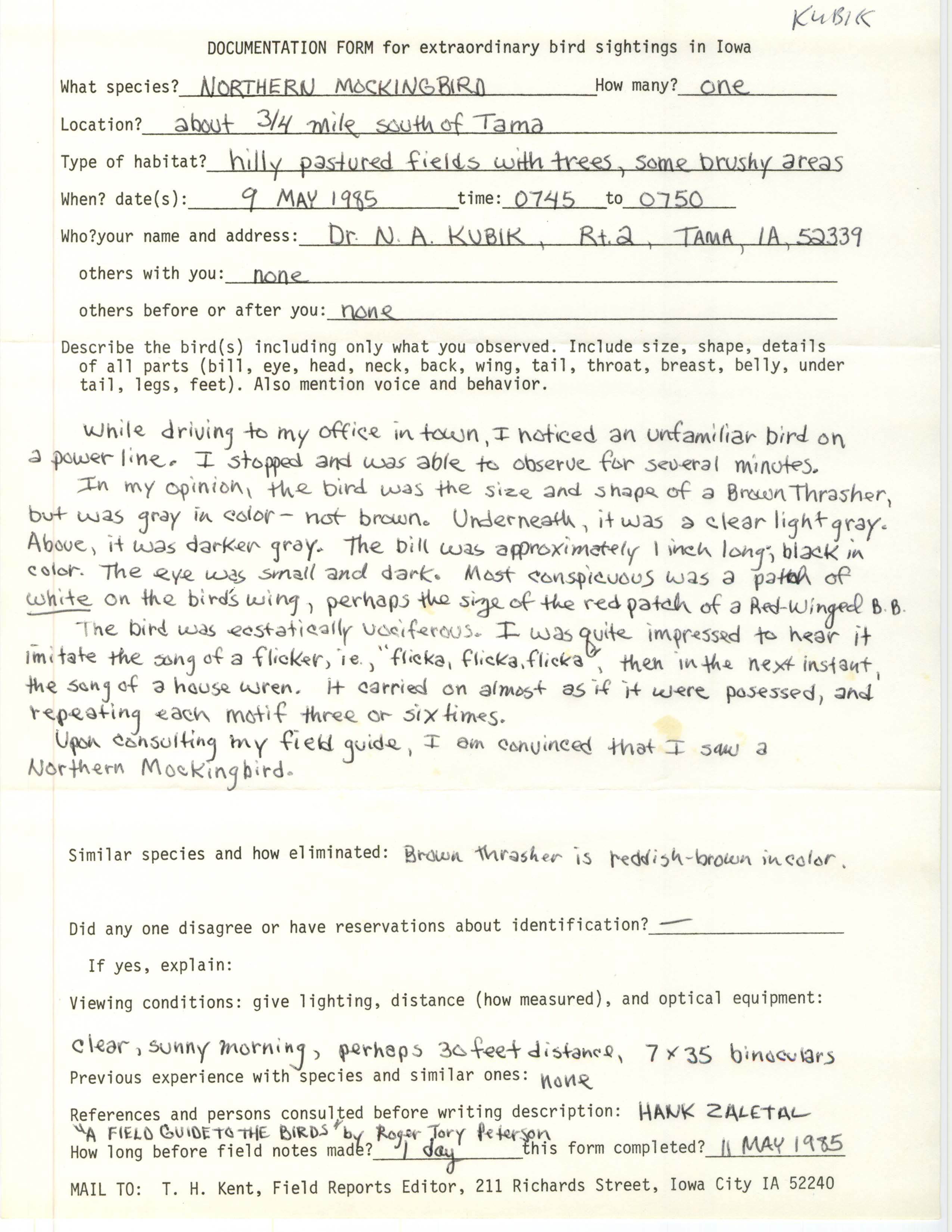 Rare bird documentation form for Northern Mockingbird south of Tama, 1985