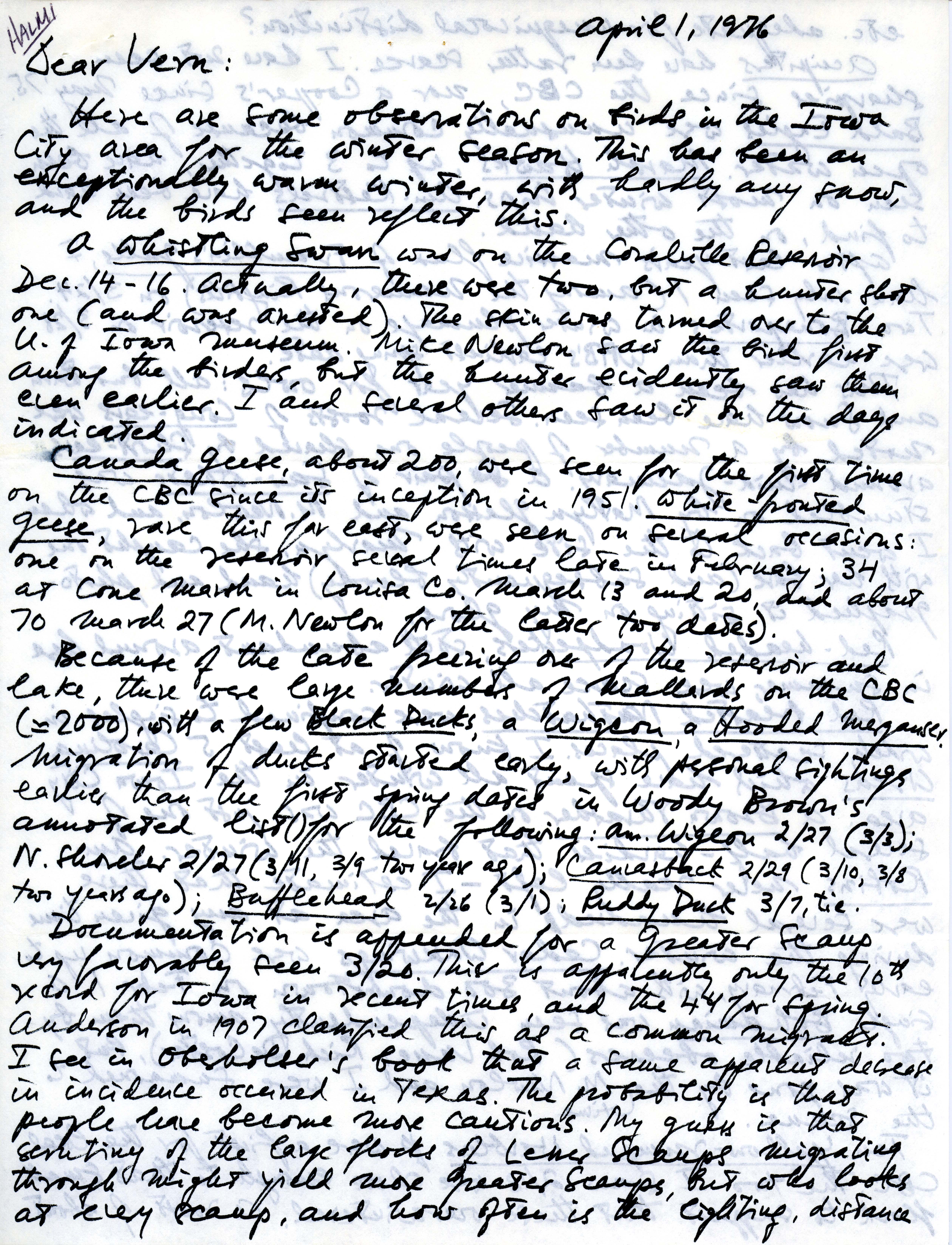 Nicholas S. Halmi letter to Vernon M. Kleen regarding birds observed near Iowa City, April 1, 1976