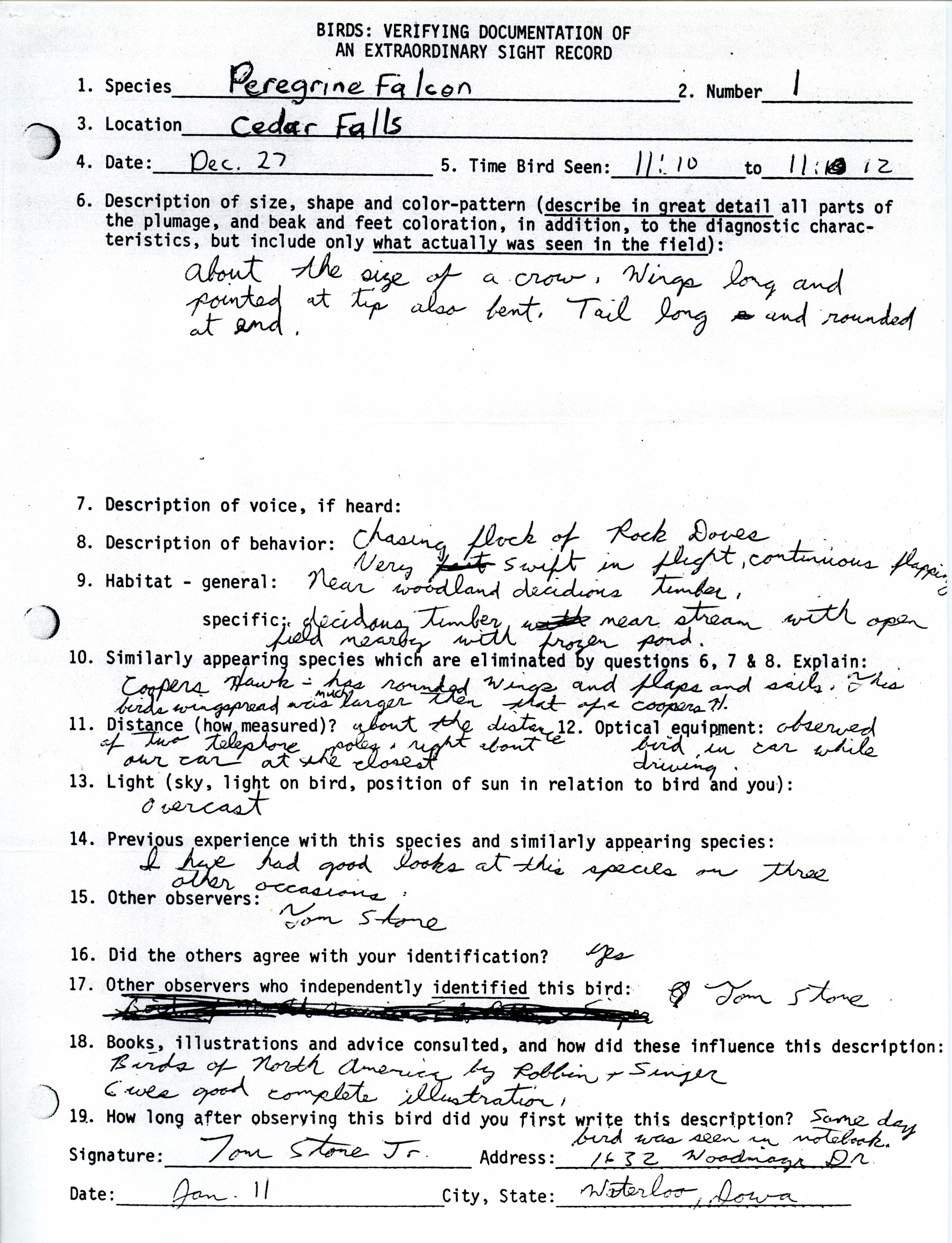 Verifying documentation form for Peregrine Falcon sighting submitted by Tom Stone, Jr., December 27 1980