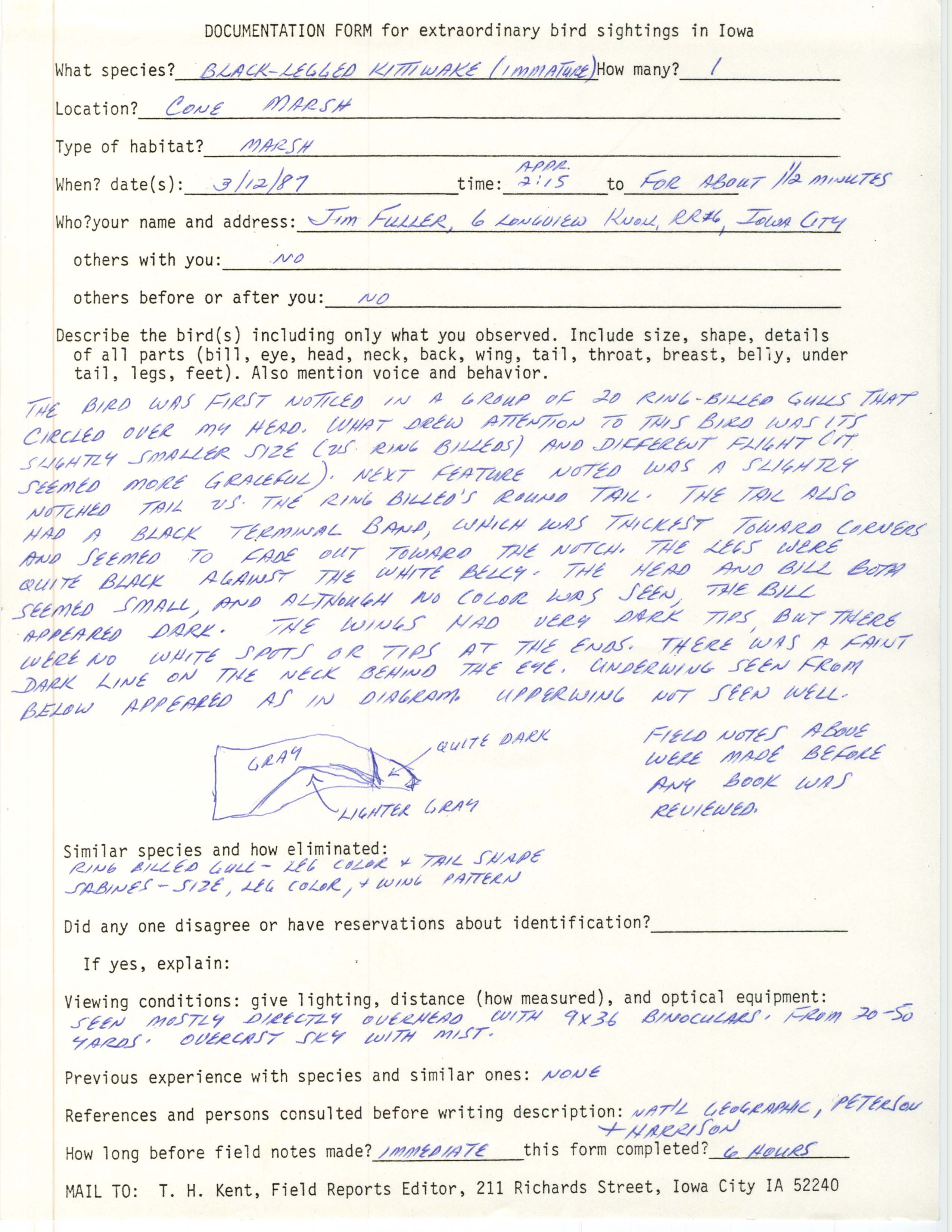 Rare bird documentation form for Black-legged Kittiwake at Cone Marsh, 1987