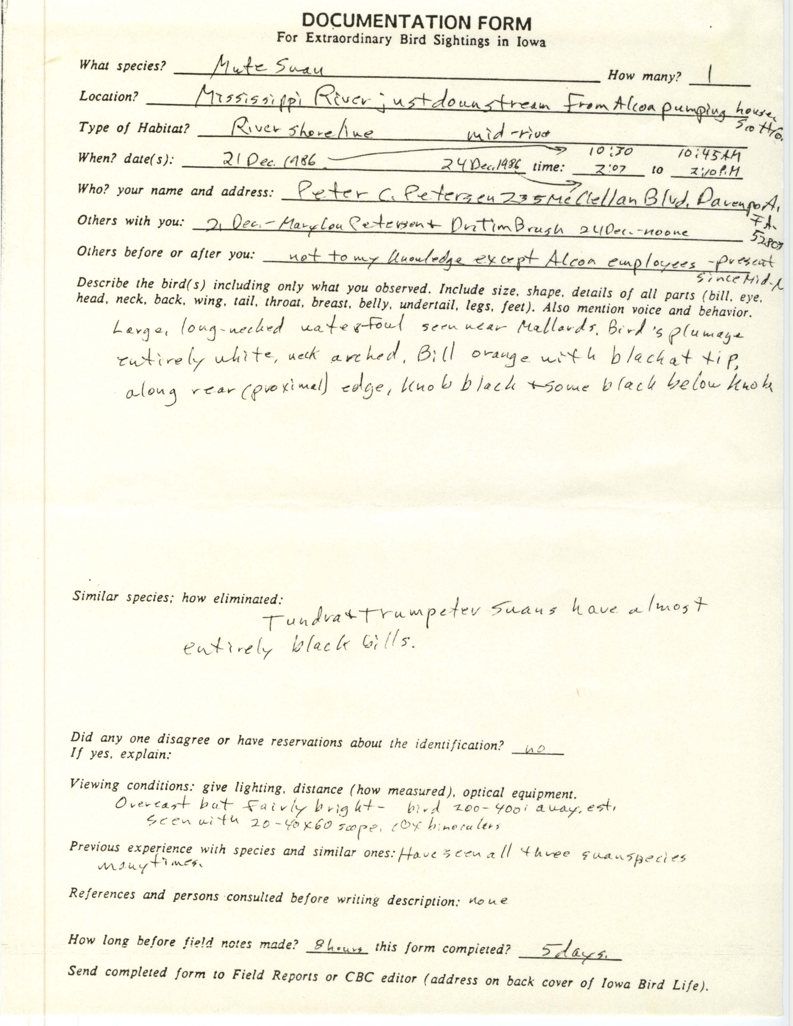 Rare bird documentation form for Mute Swan at Mississippi River in Scott County, 1986