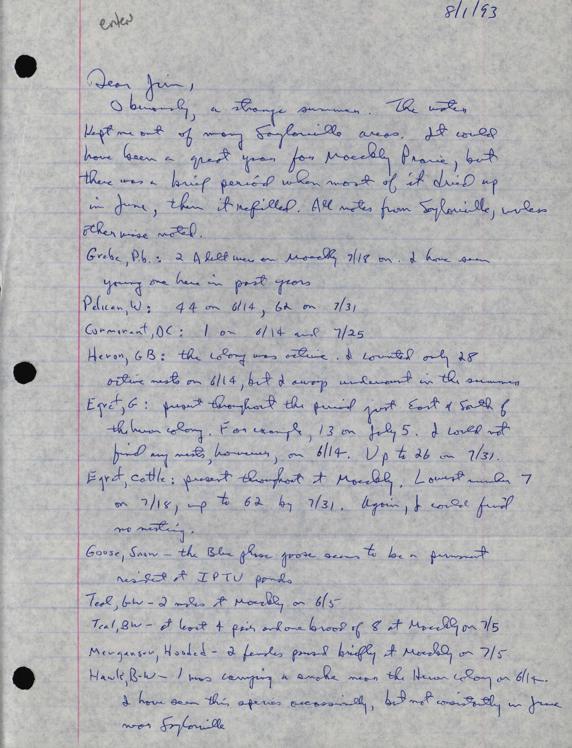Bery Engebretsen letter to James J. Dinsmore regarding summer bird sightings, August 1, 1993