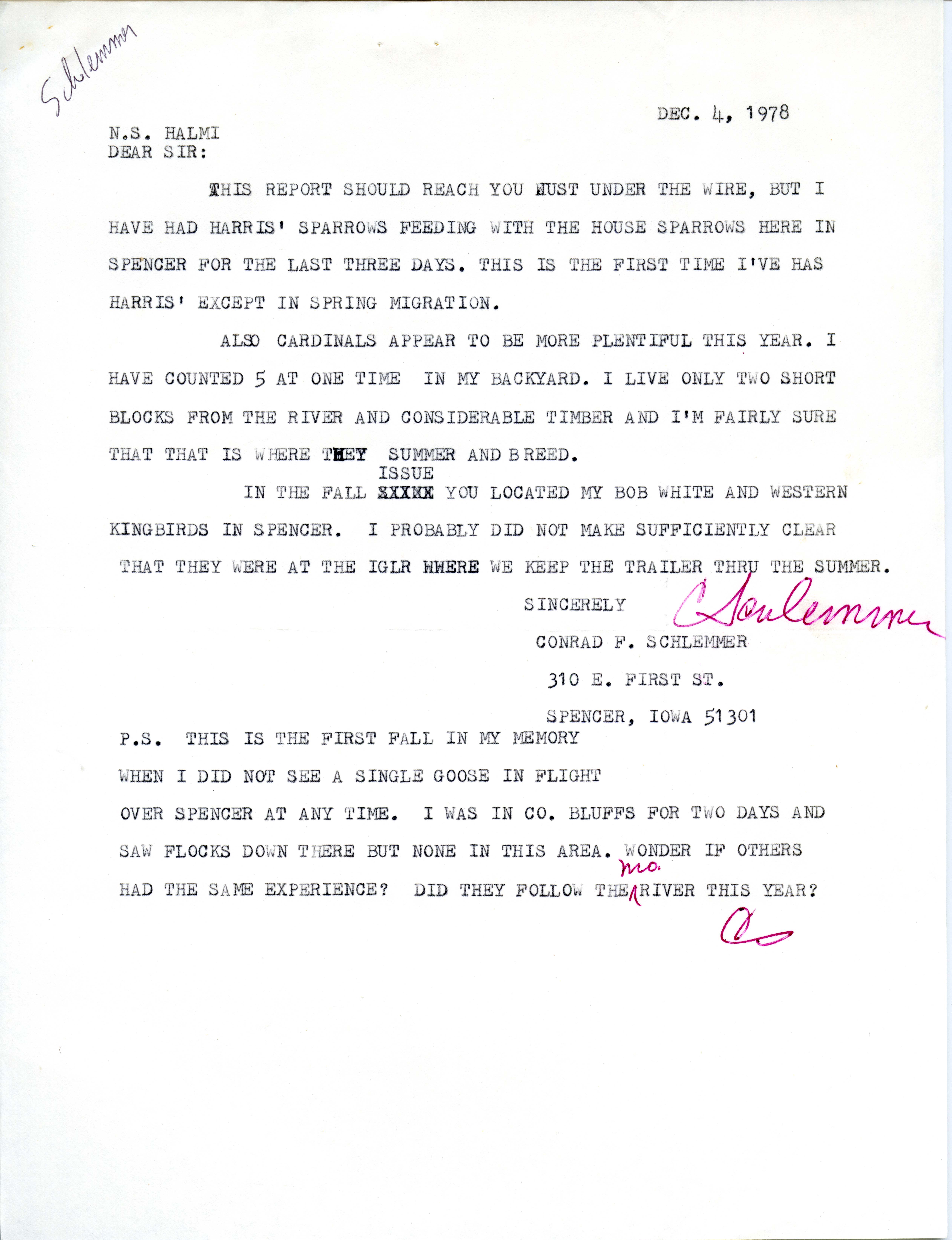 Conrad F. Schlemmer letter to Nicholas S. Halmi regarding bird sightings, December 4, 1978 