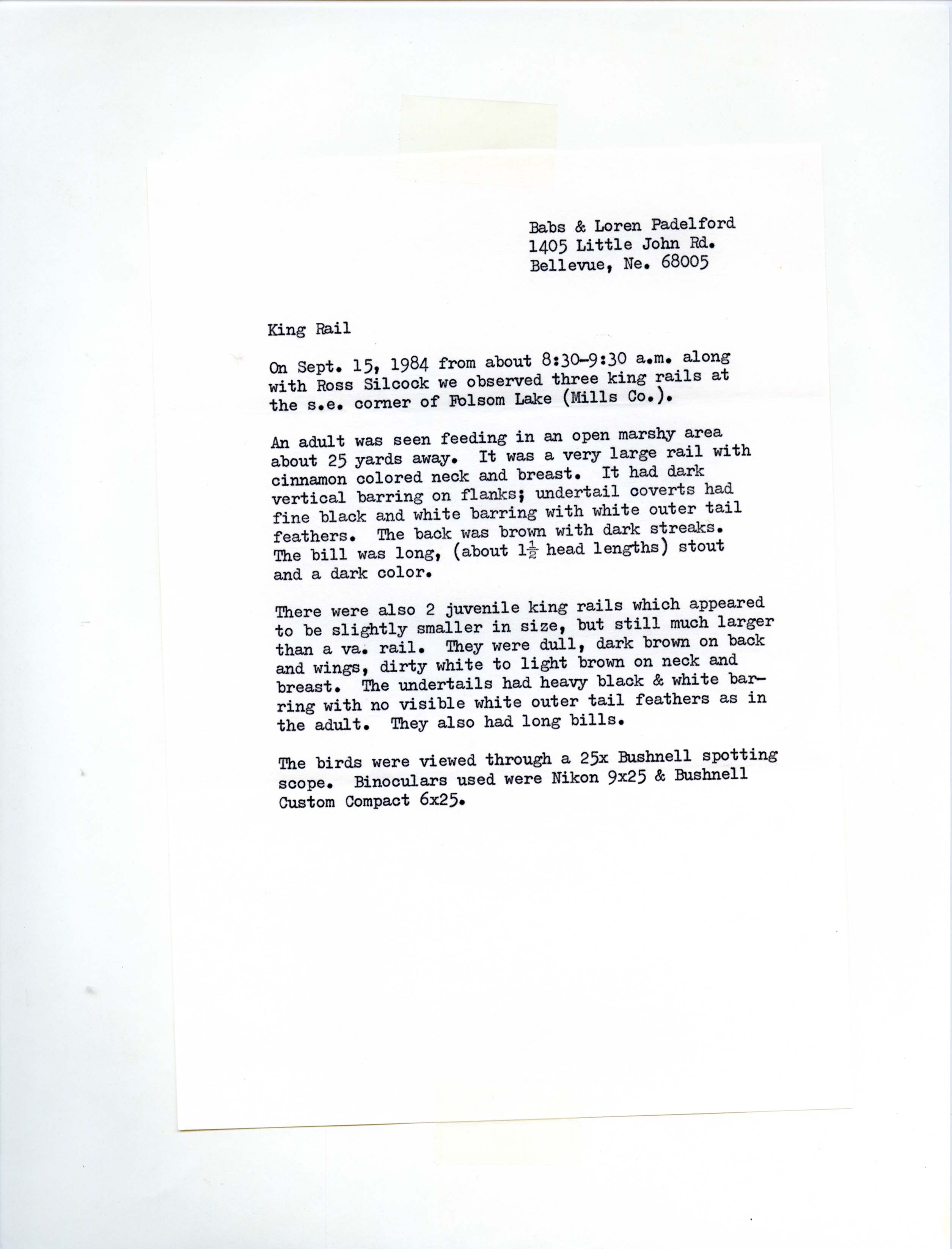 Rare bird documentation form for King Rail at Folsom Lake, 1984