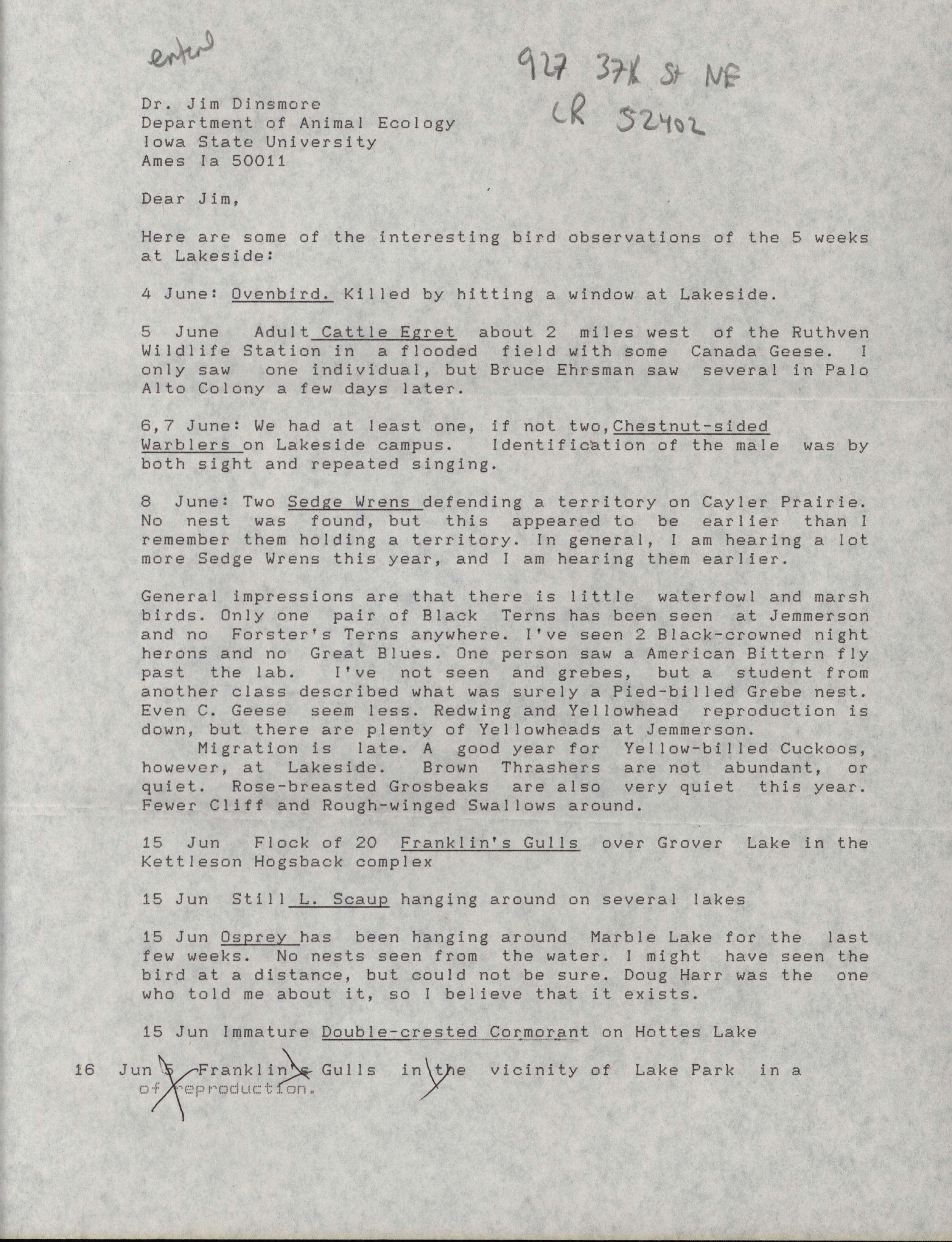 Neil Bernstein letter to James J. Dinsmore regarding summer bird sightings, summer 1993