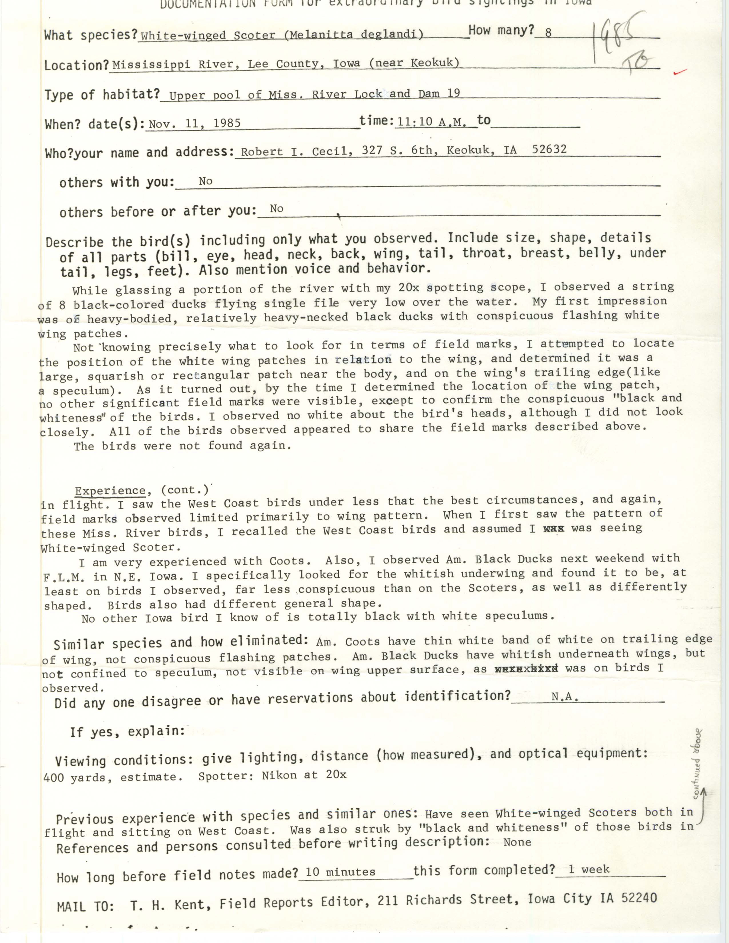 Rare bird documentation form for White-winged Scoter near Keokuk, 1985