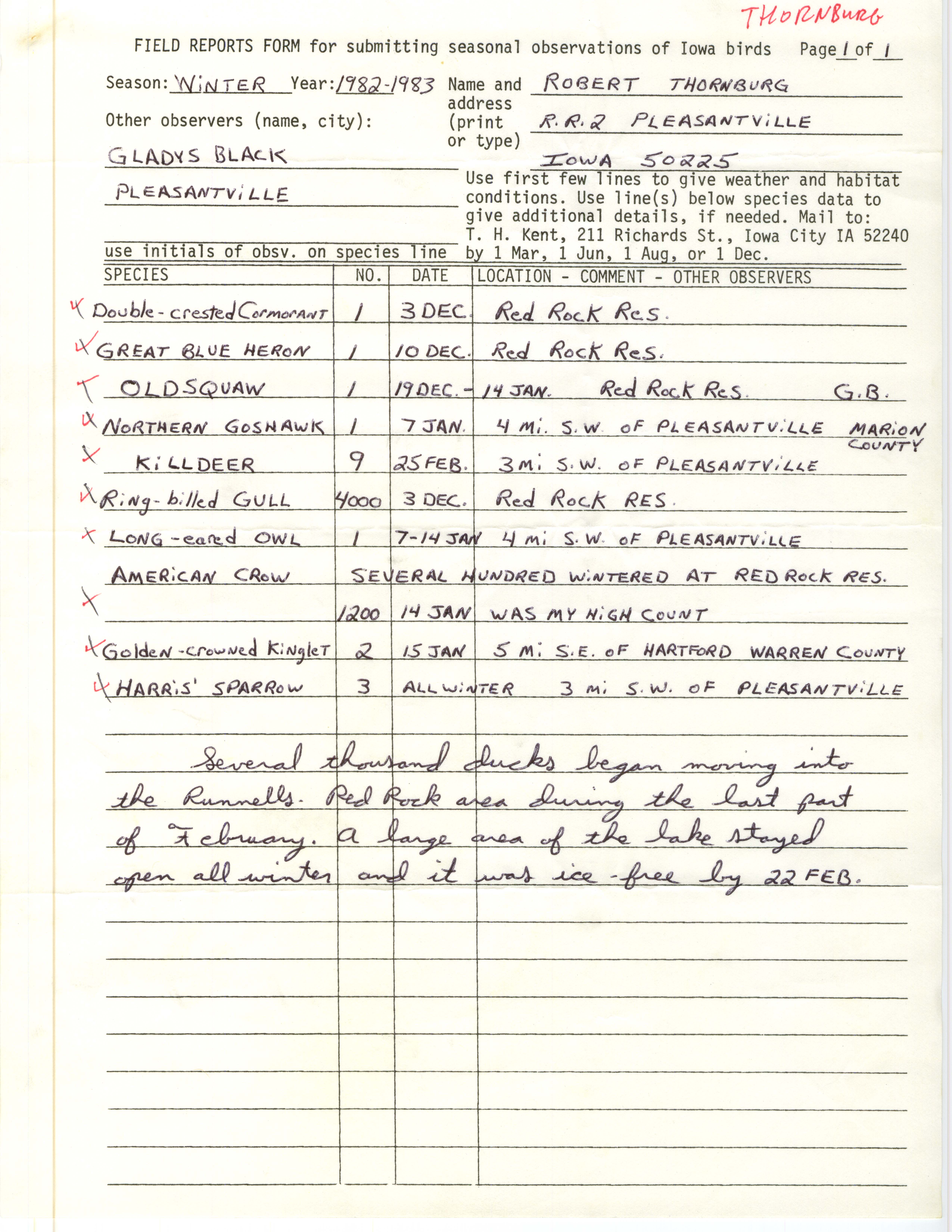 Field reports form for submitting seasonal observations of Iowa birds,  Robert E. Thornburg, winter 1982-1983