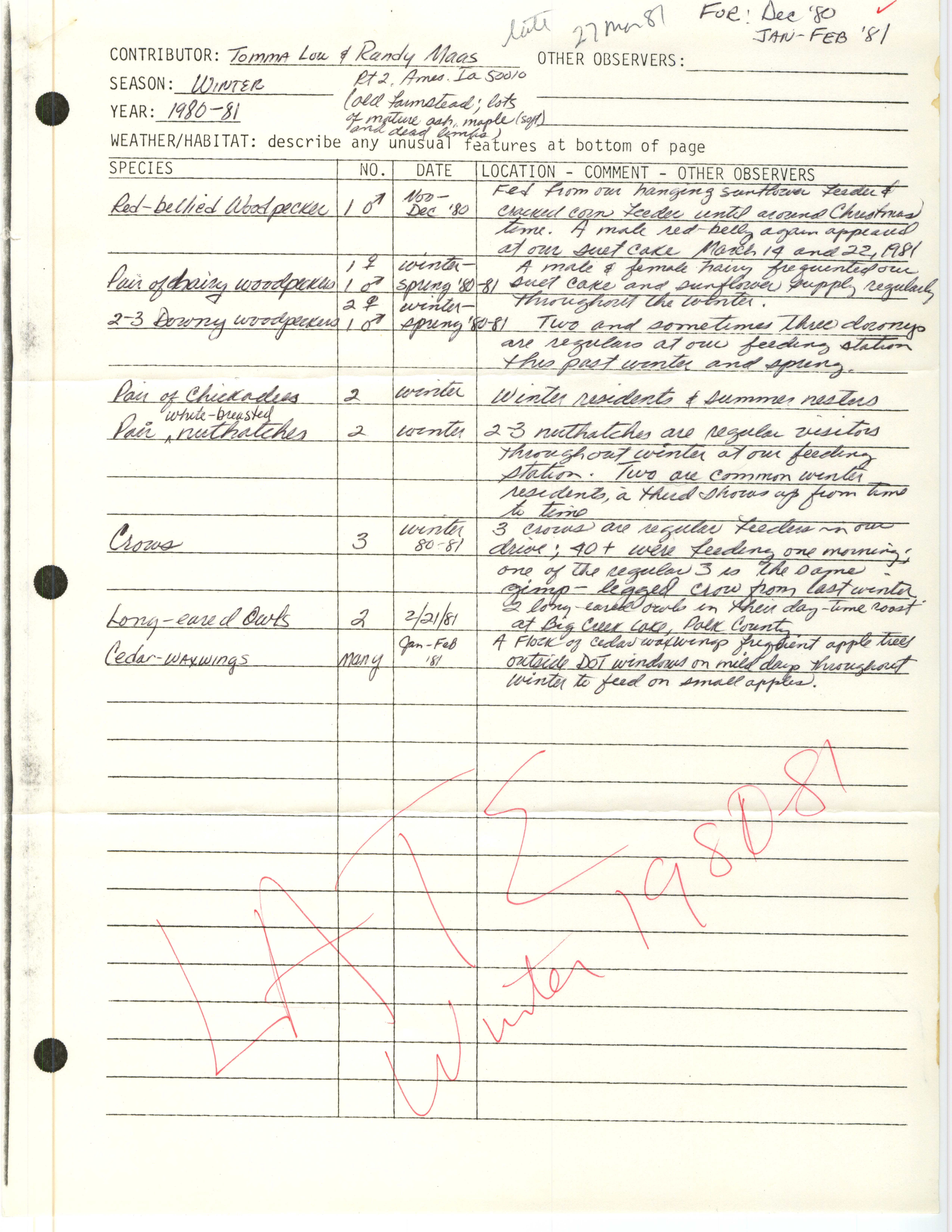 Annotated bird sighting list for winter 1980-1981 compiled by Tomma Lou and Randy Maas