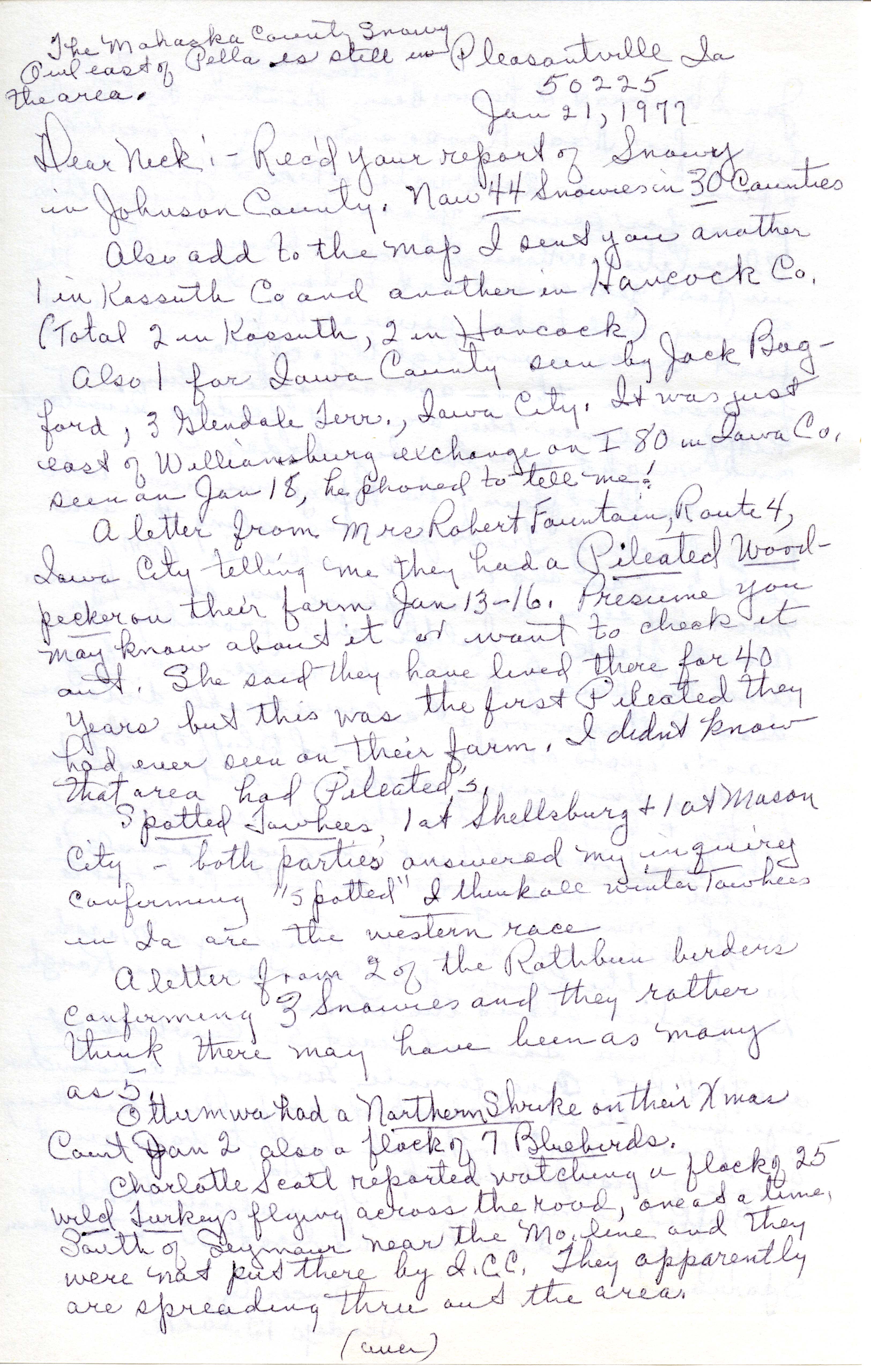 Gladys Black letter to Nicholas S. Halmi regarding bird sightings, January 21, 1977