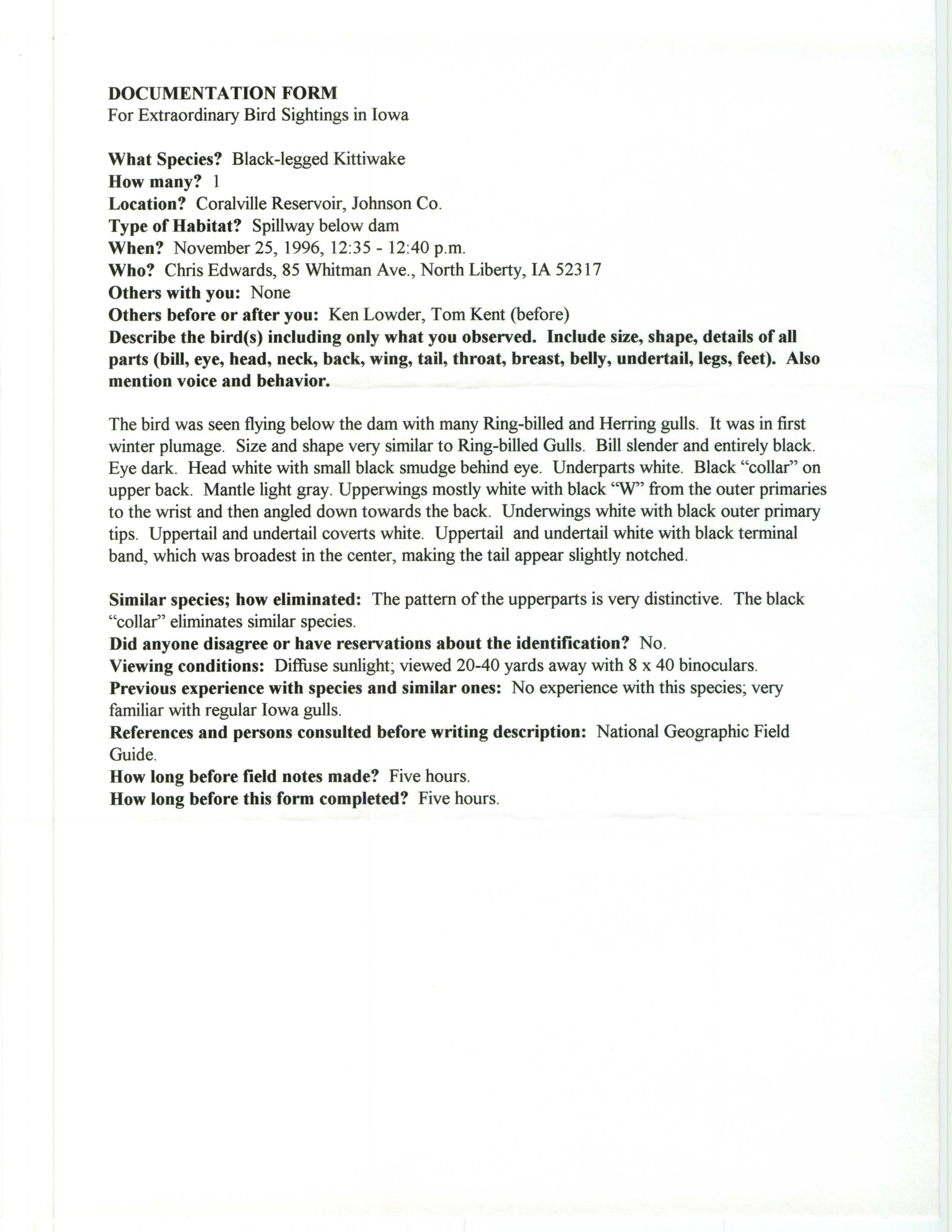 Rare bird documentation form for Black-legged Kittiwake at Coralville Reservoir, 1996