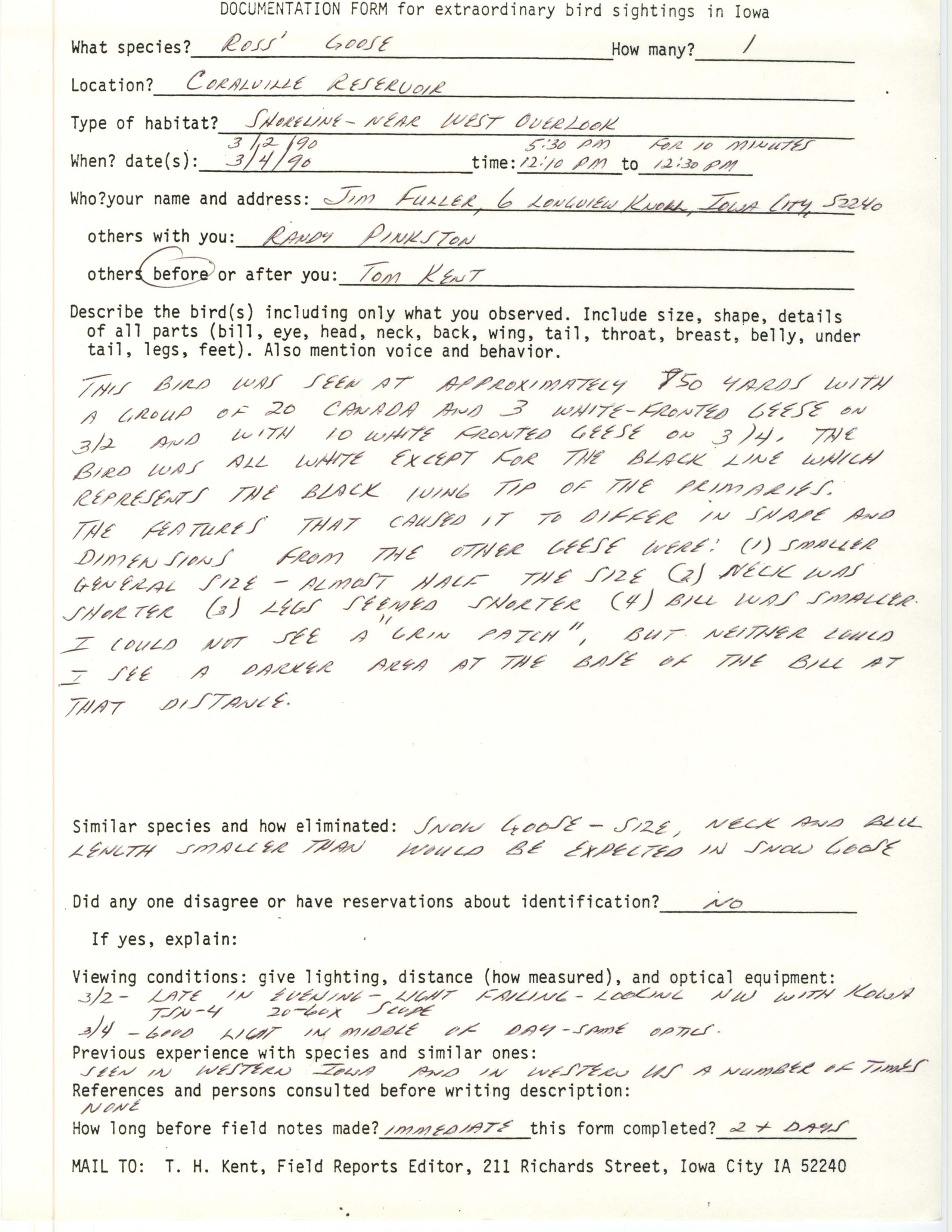 Rare bird documentation form for Ross' Goose at Coralville Reservoir, 1990
