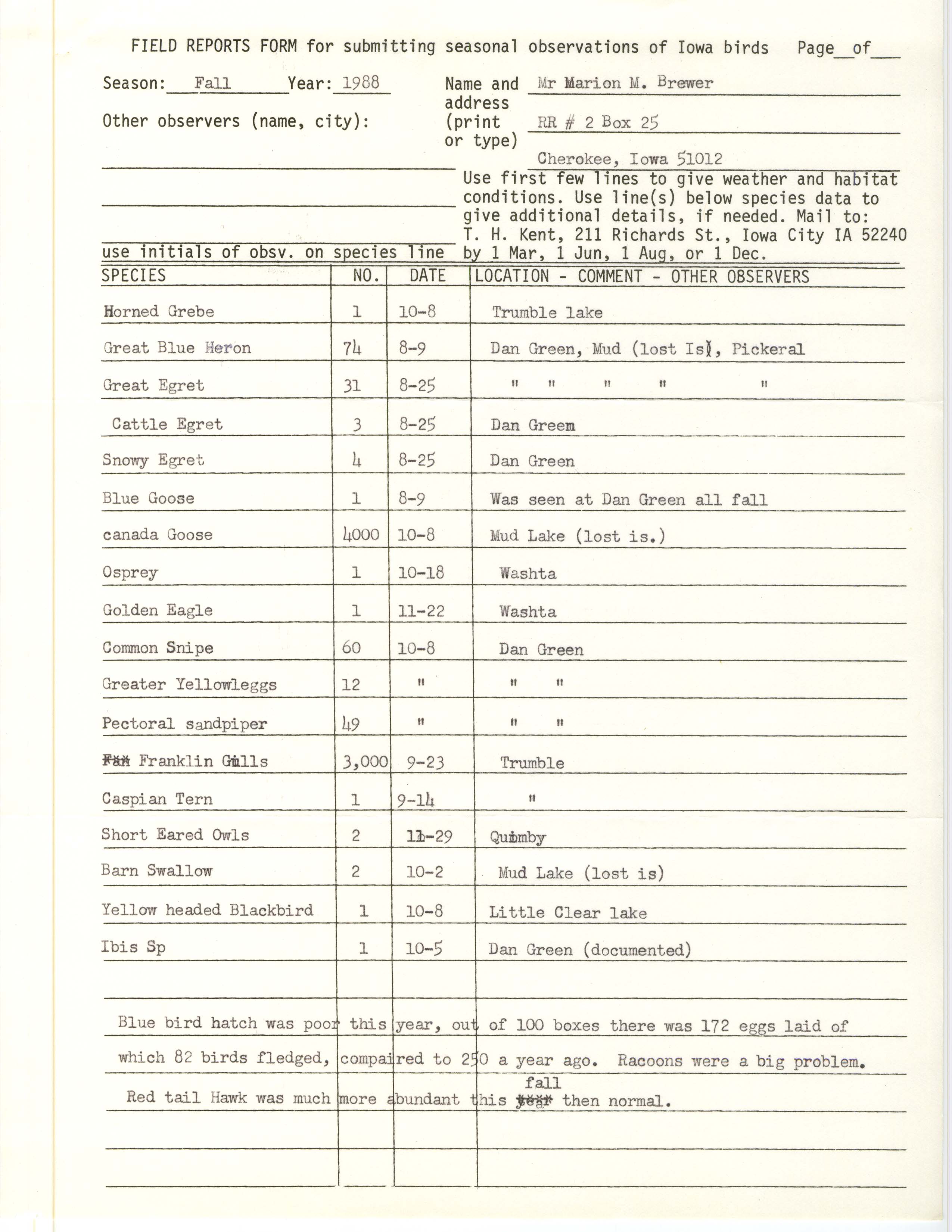 Field reports form for submitting seasonal observations of Iowa birds, Marion M. Brewer, fall 1988