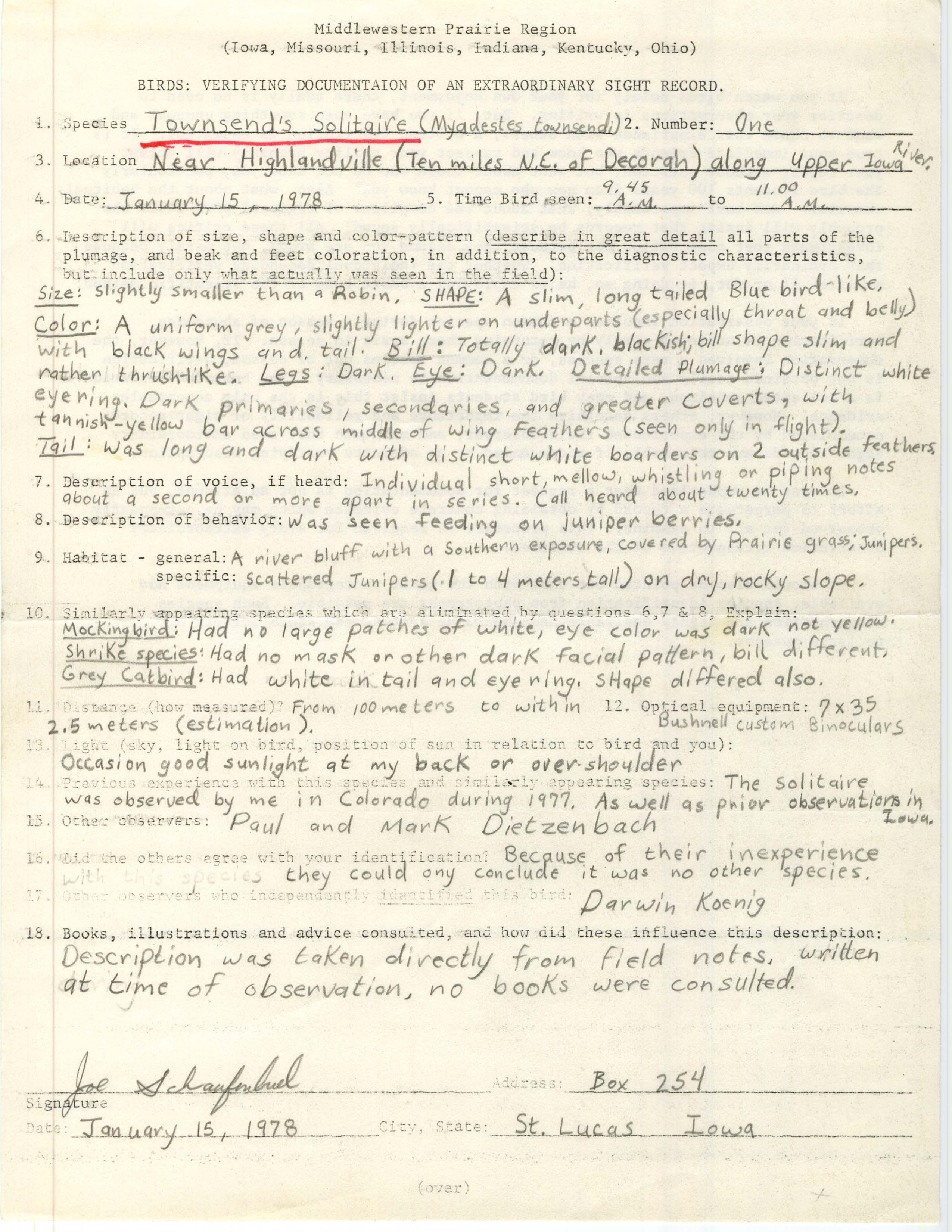 Rare bird documentation form for Townsend's Solitaire near Highlandville, 1978