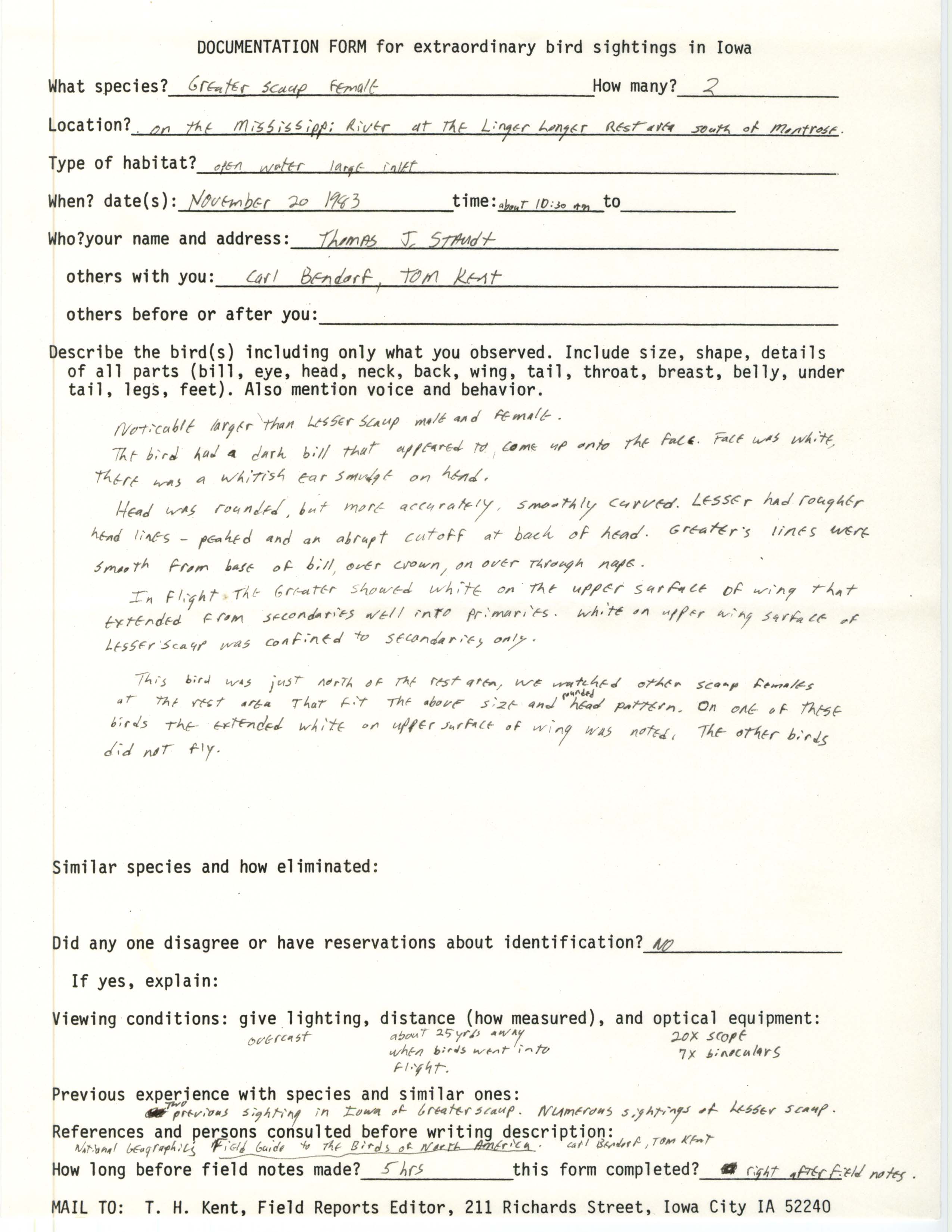 Rare bird documentation form for Greater Scaup south of Montrose, 1983