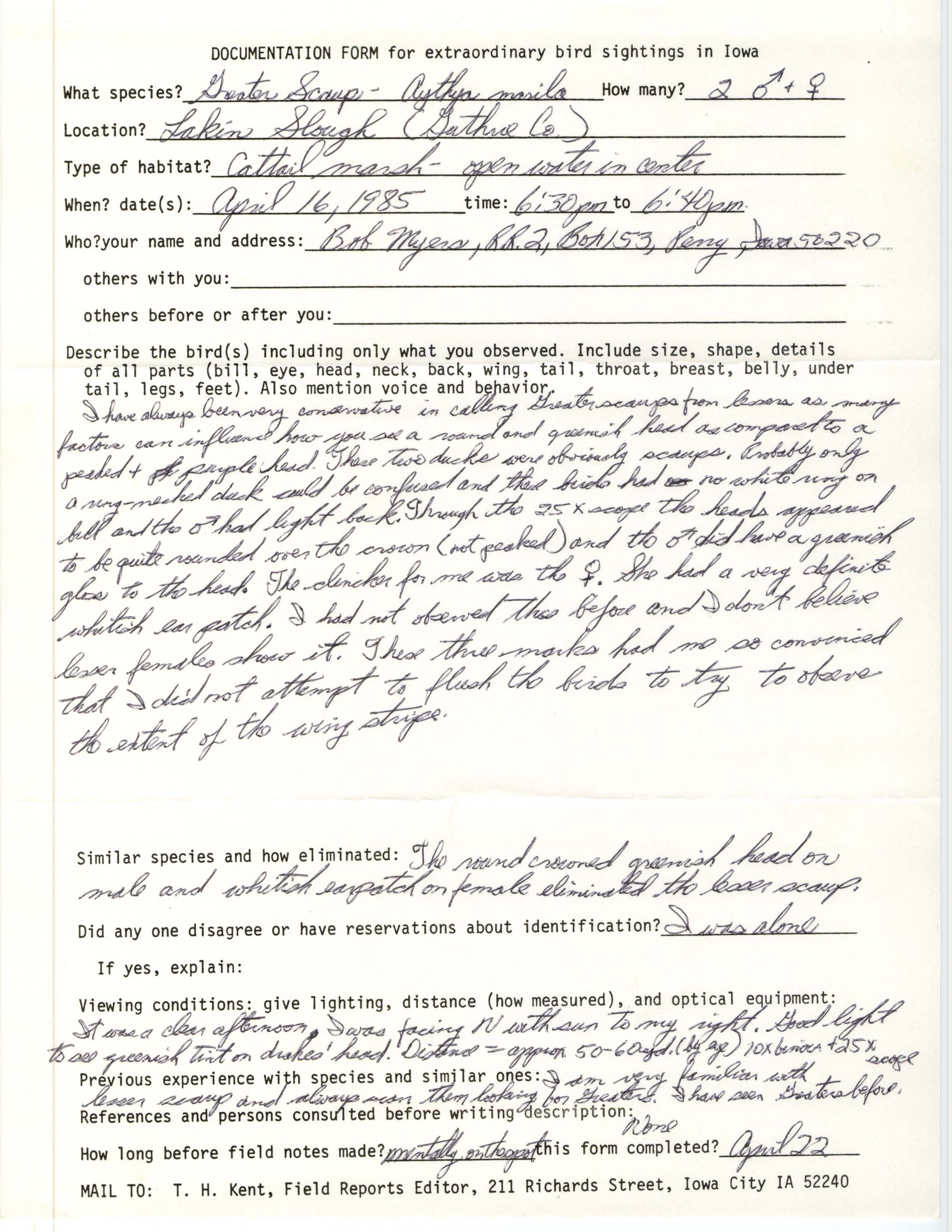 Rare bird documentation form for Greater Scaup at Lakin Slough, 1985