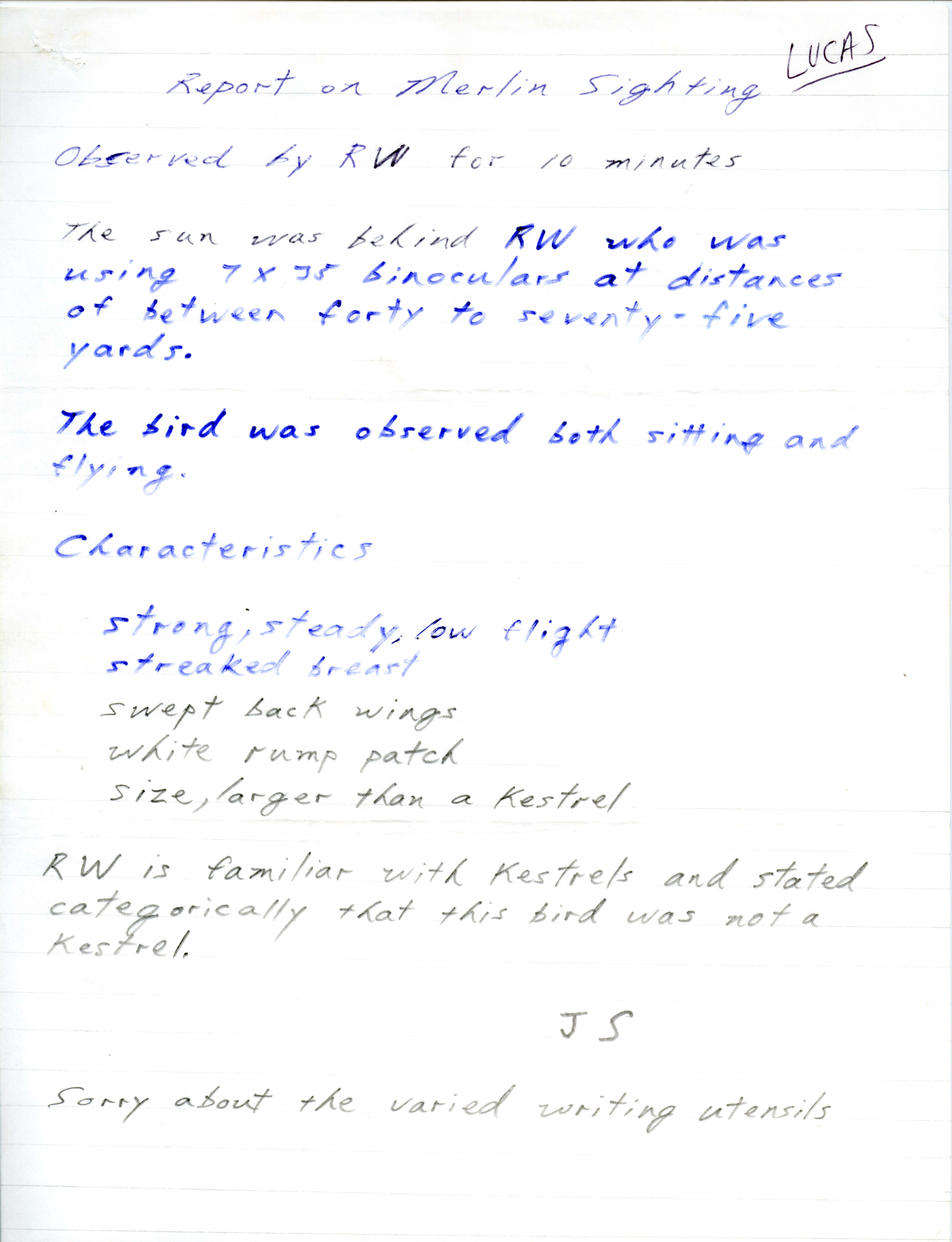 Report on Merlin sighting submitted by Joseph P. Schaufenbuel, December 11980