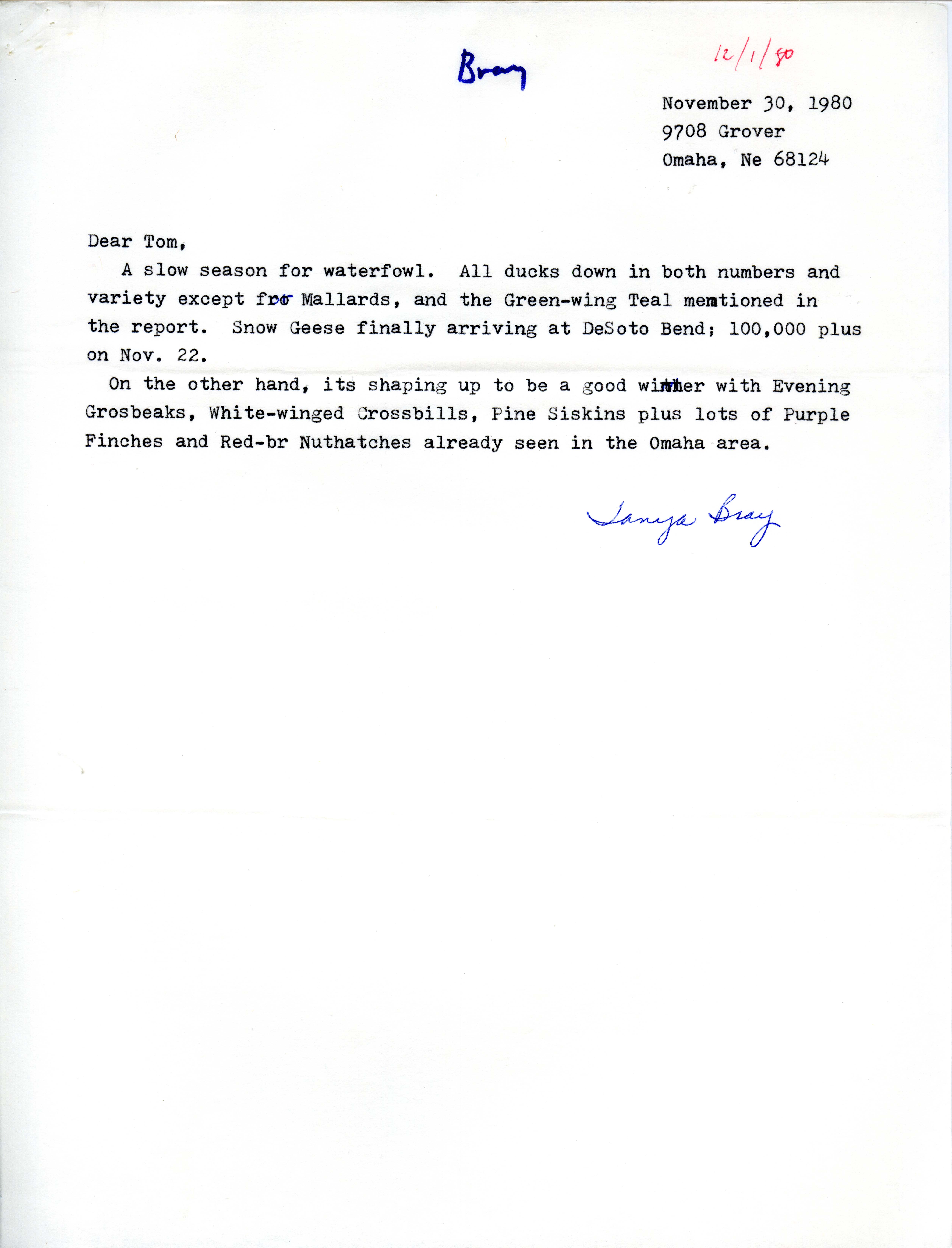 Tanya Bray letter to Thomas Kent regarding birds seen around the DeSoto Bend area, November 30, 1980