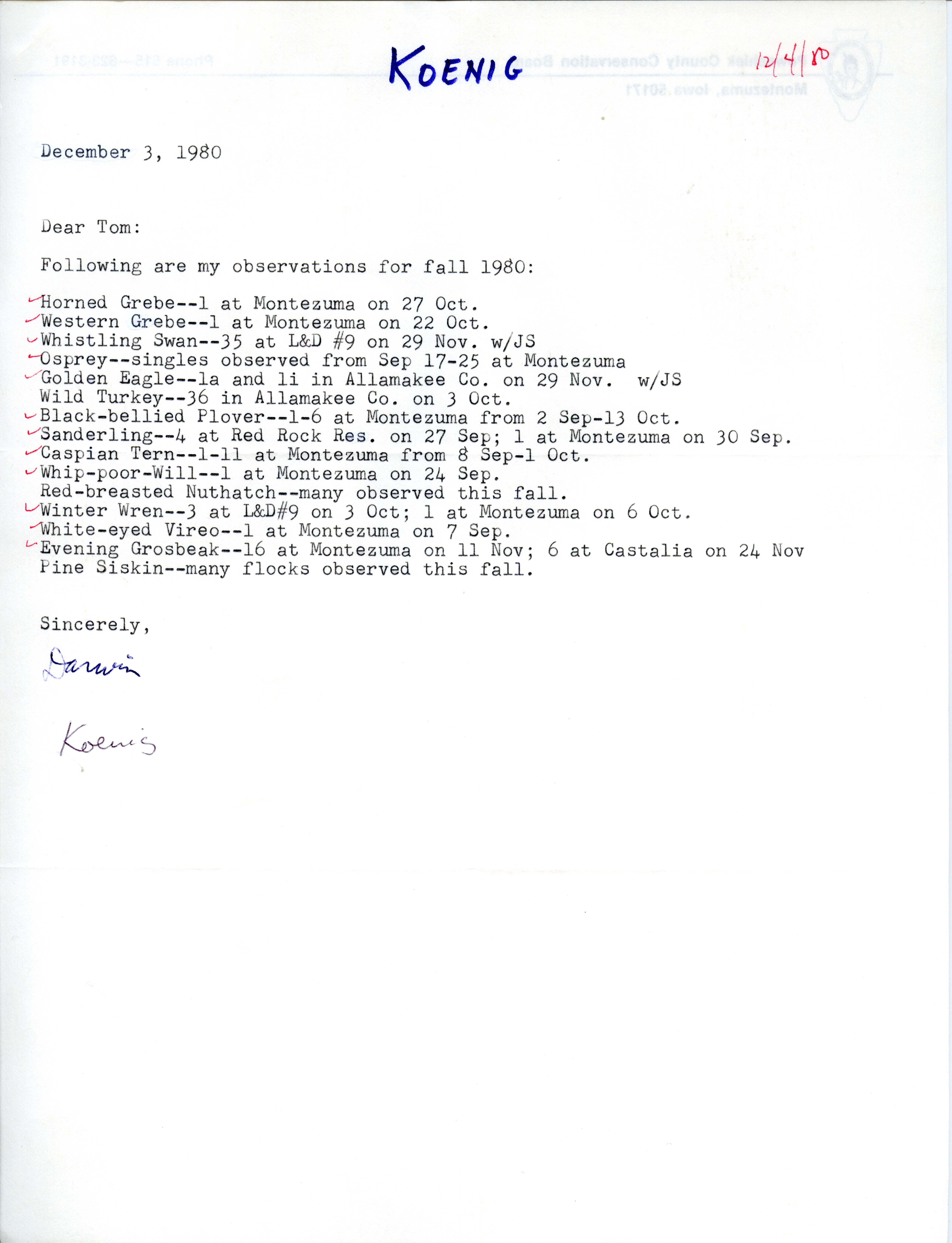 Darwin Koenig letter to Thomas Kent regarding bird sightings, December 3, 1980