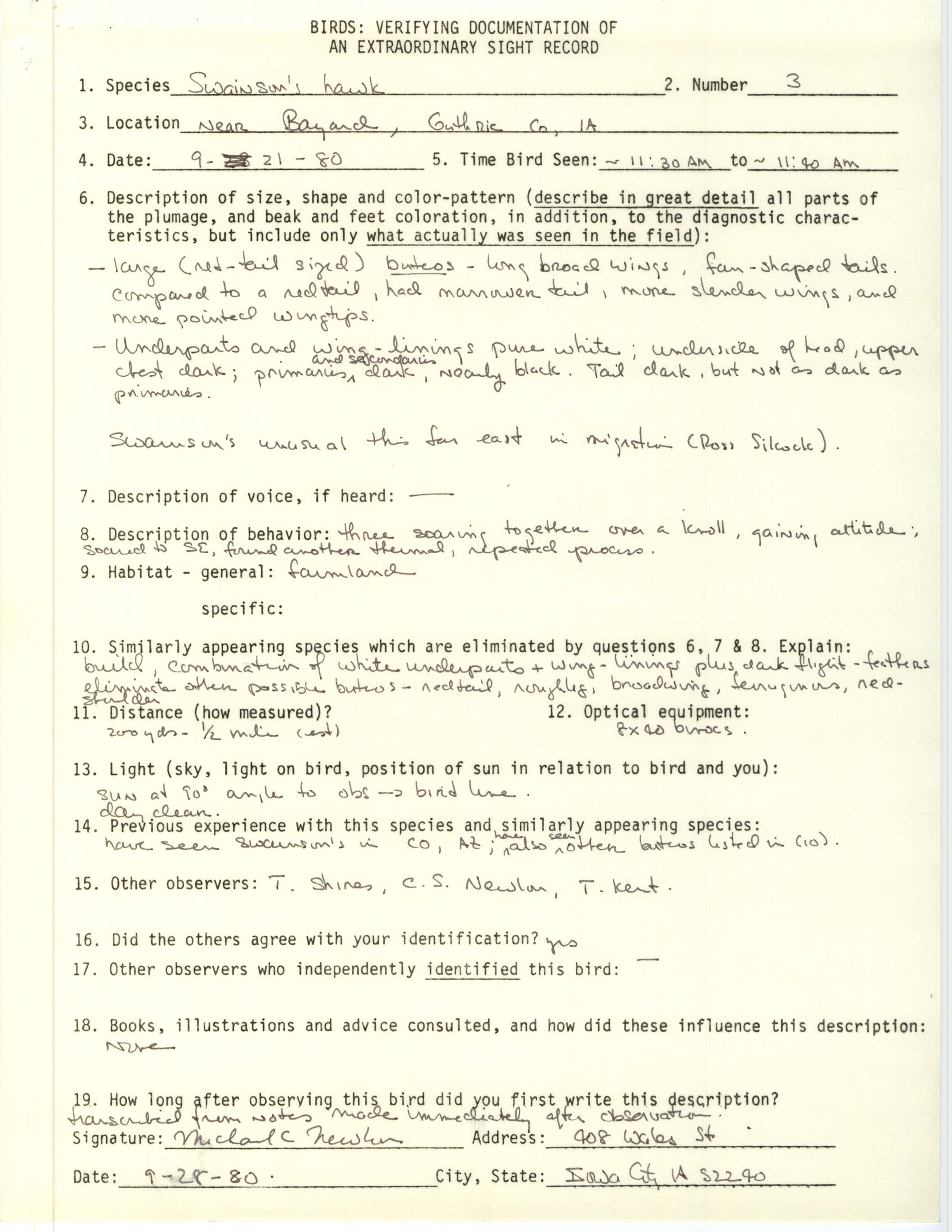 Rare bird documentation form for Swainson's Hawk at Bayard, 1980