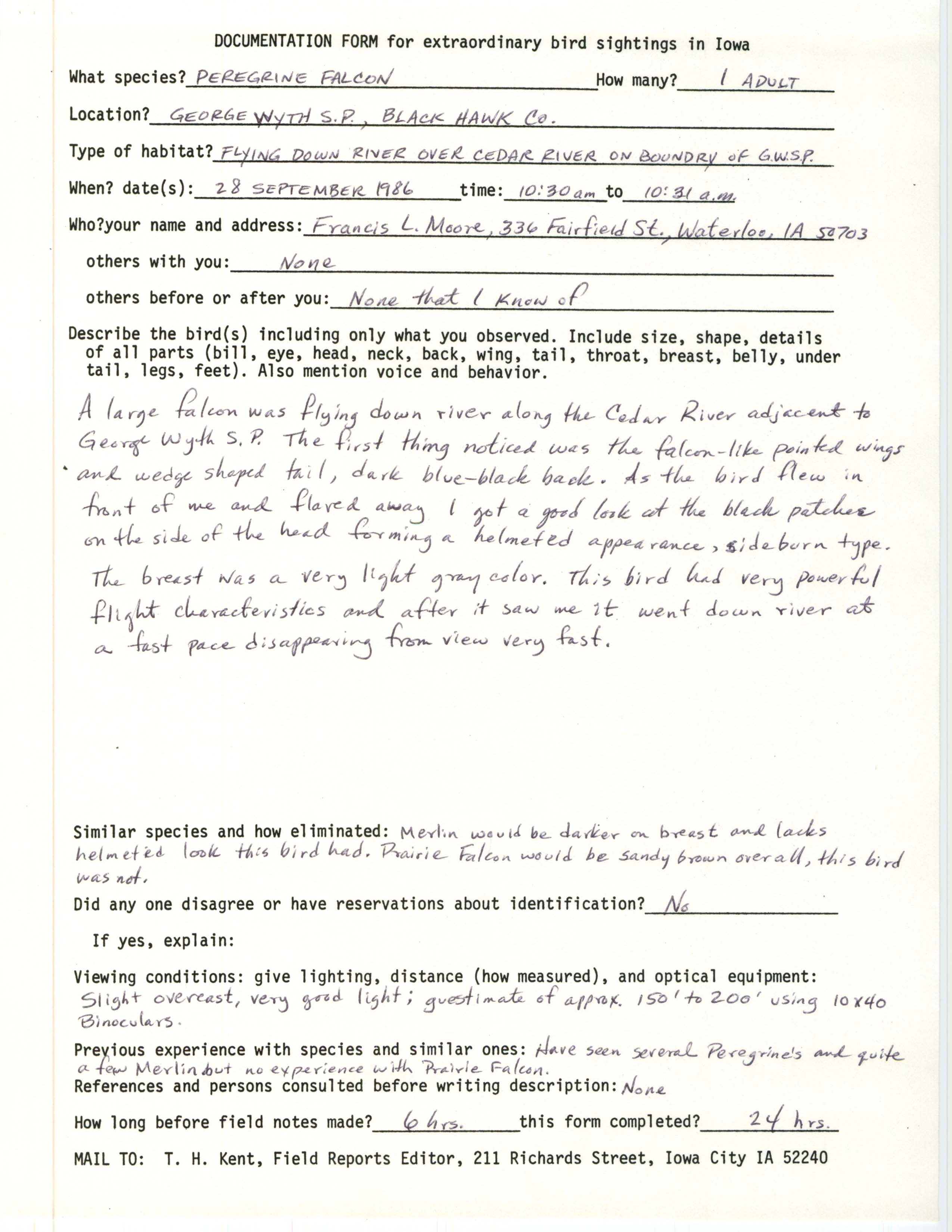 Rare bird documentation form for Peregrine Falcon at George Wyth State Park, 1986