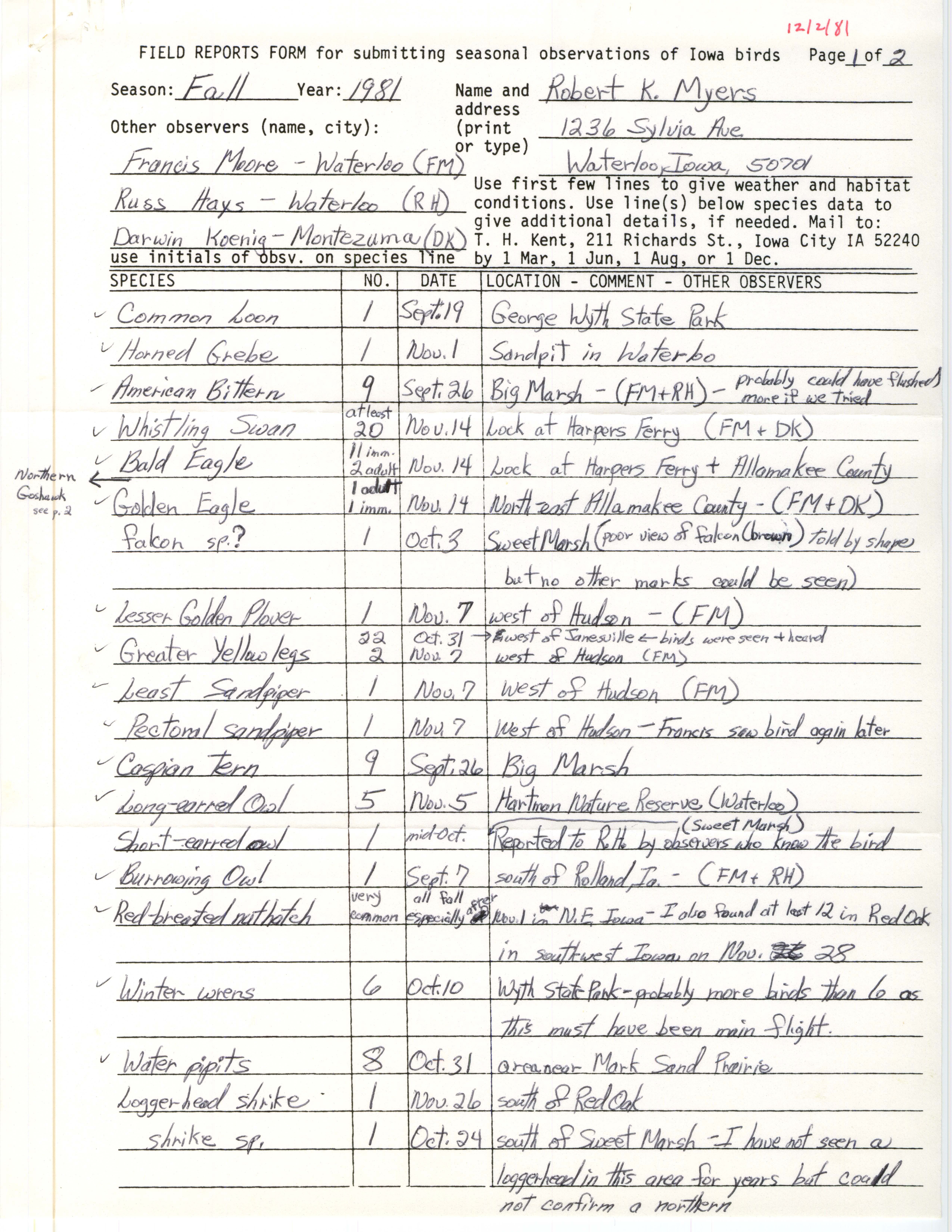 Field notes contributed by Robert K. Myers, December 2, 1981