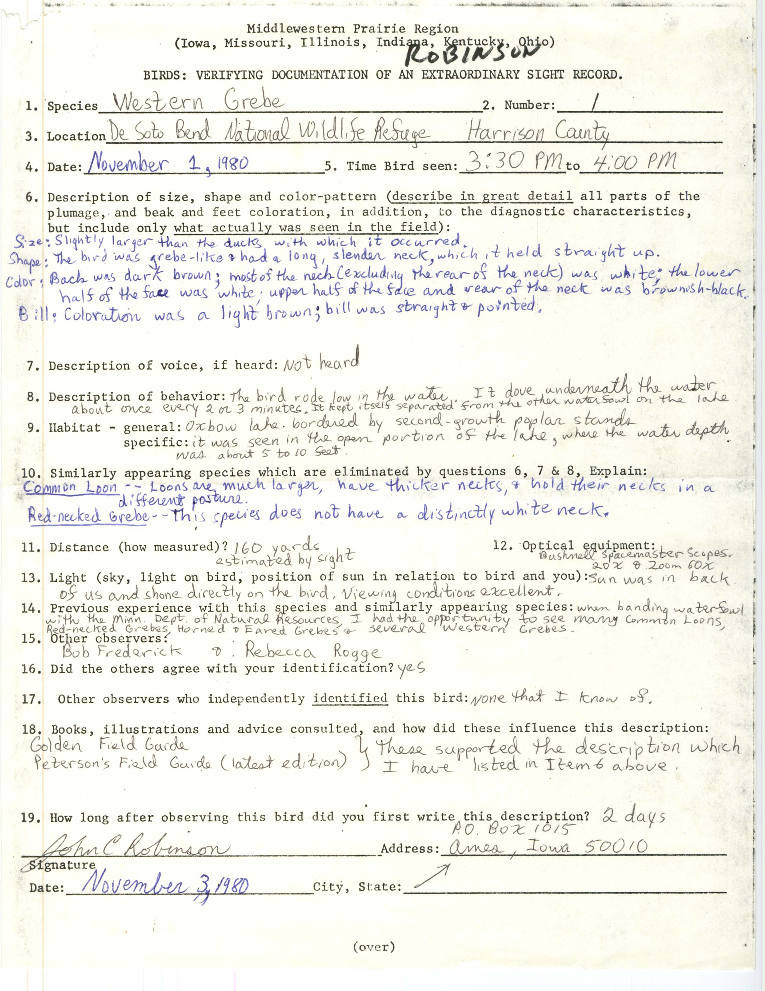 Rare bird documentation form for Western Grebe at DeSoto Bend National Wildlife Refuge, 1980