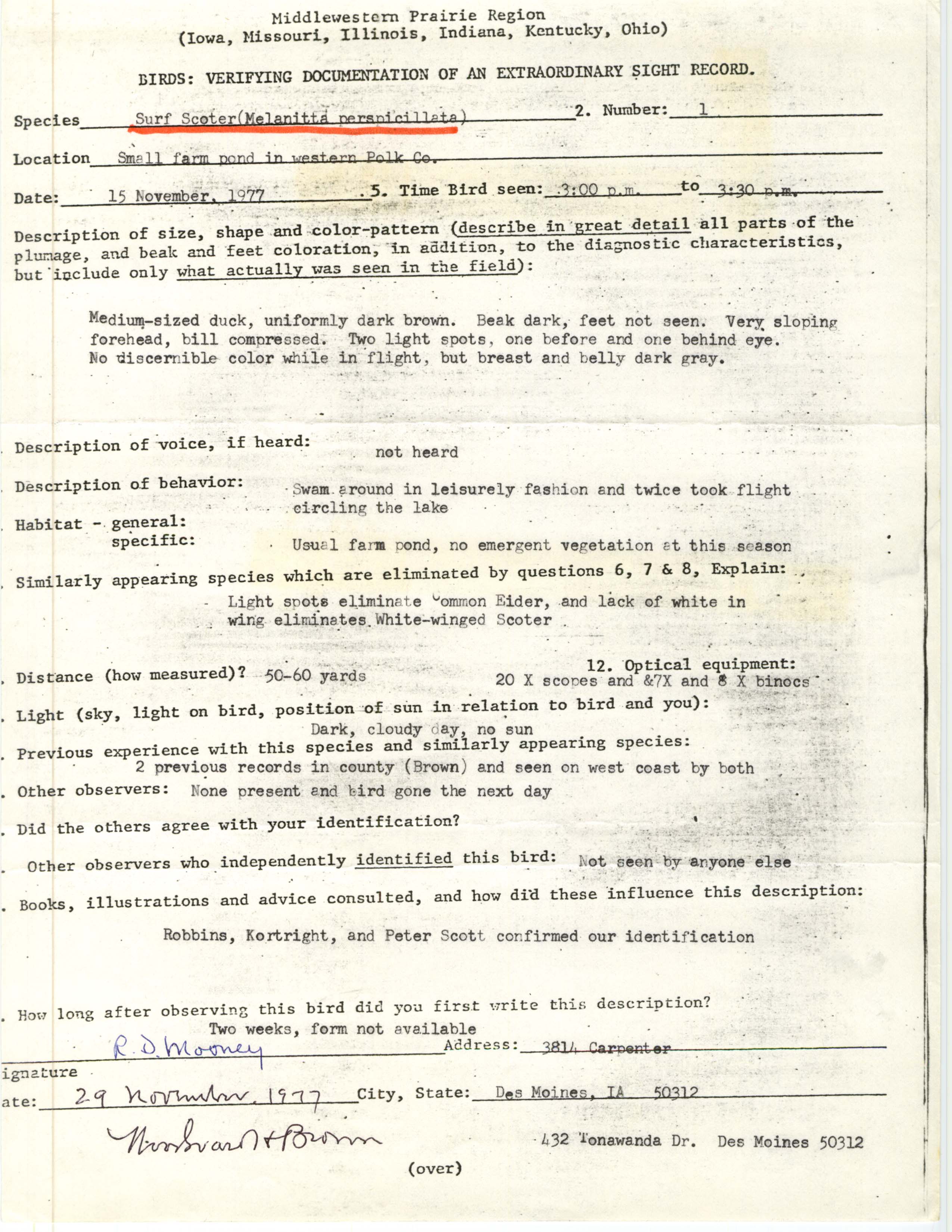 Rare bird documentation form for Surf Scoter in western Polk County, 1977