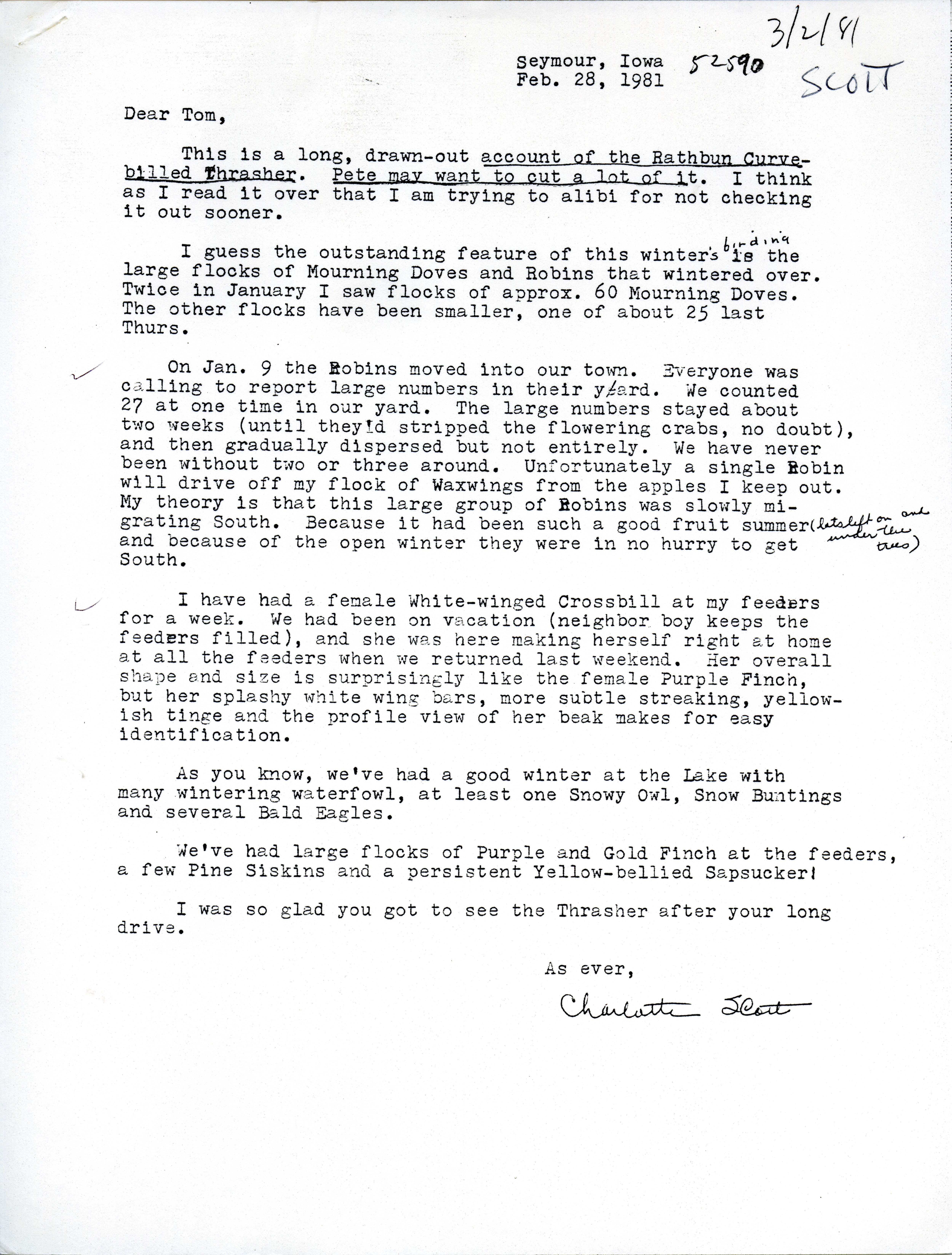 Charlotte Scott letter to Thomas Kent regarding Curve-billed Thrasher sighting, February 28, 1981