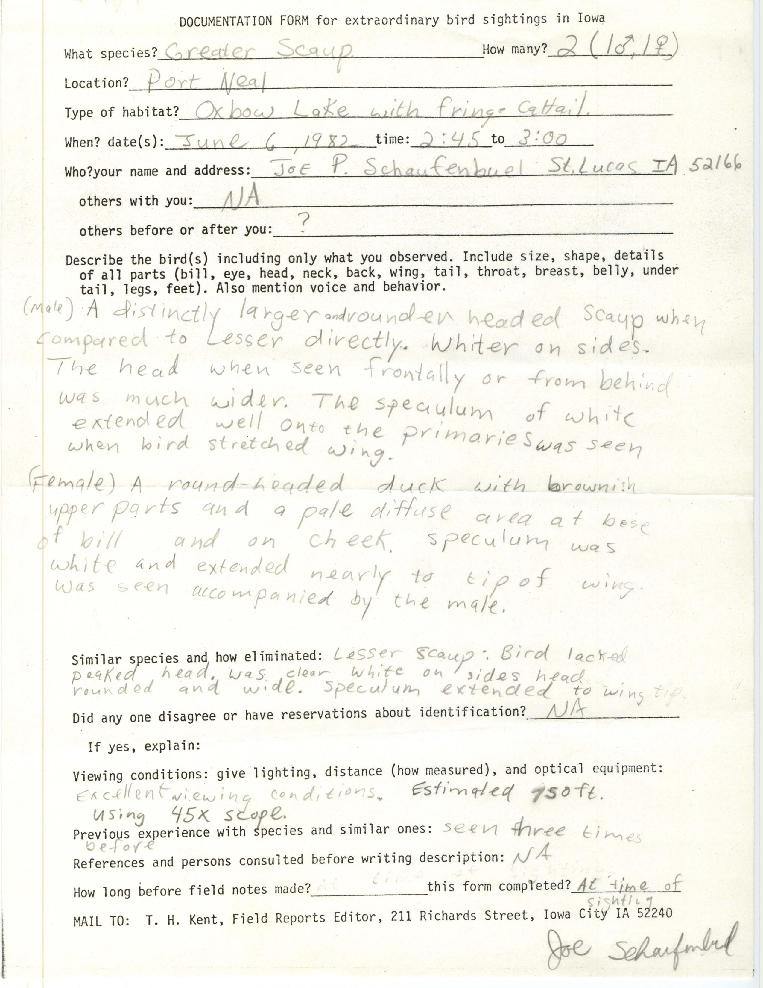Rare bird documentation form for Greater Scaup at Port Neal, 1982