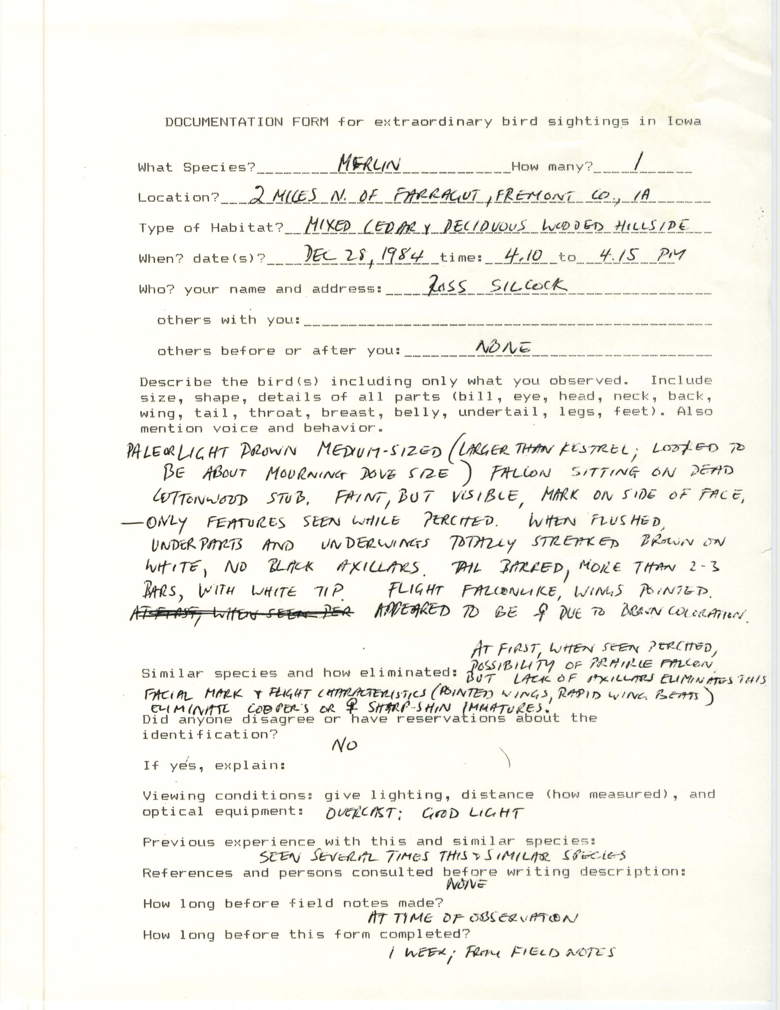 Rare bird documentation form for Merlin at Farragut, 1984