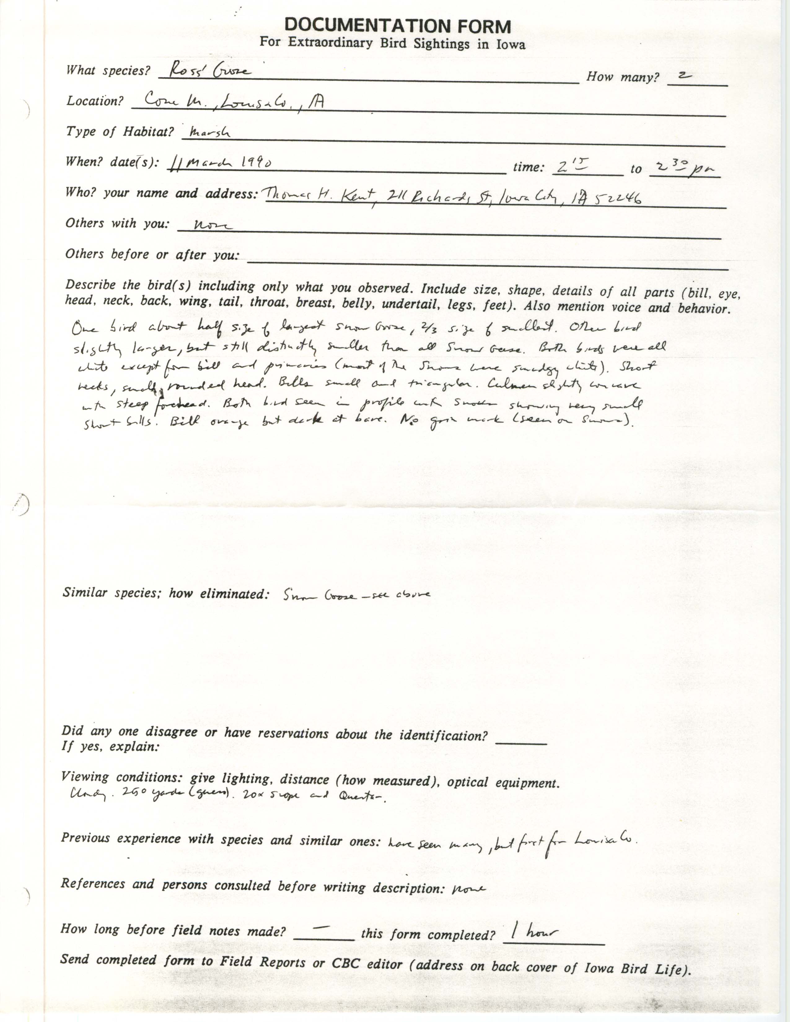 Rare bird documentation form for Ross' Goose at Cone Marsh, 1990