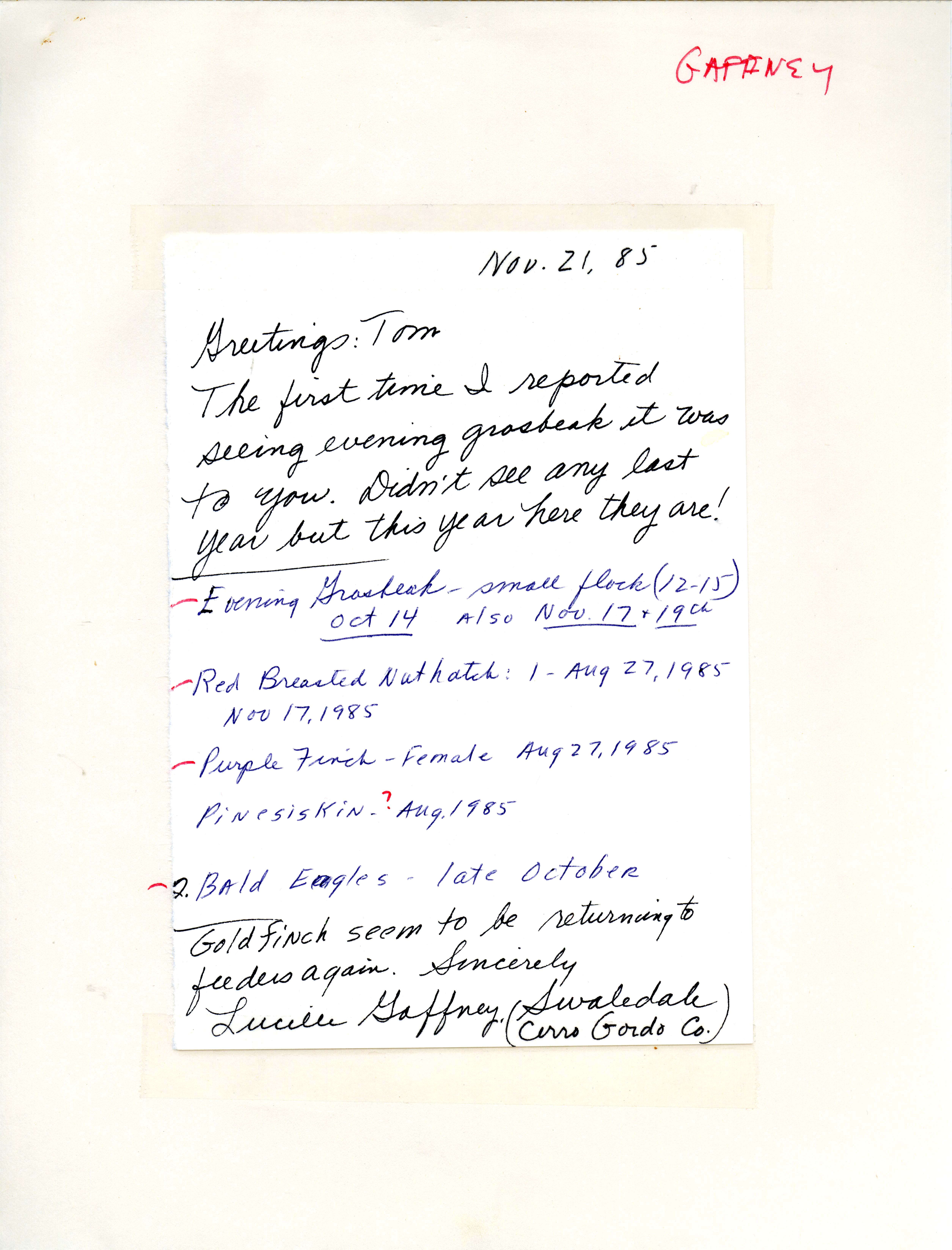 Lucille Gaffney letter to Thomas Kent regarding Evening Grosbeak flock, November 21, 1985