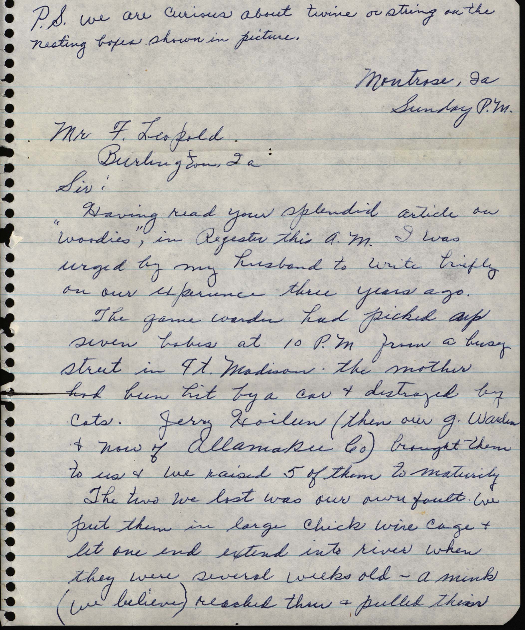 Grace McManis letter to Frederic Leopold regarding Wood Ducks, May 15, 1966