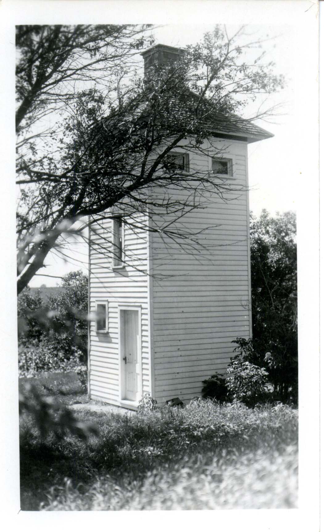 Photograph of a Chimney Swift observation tower