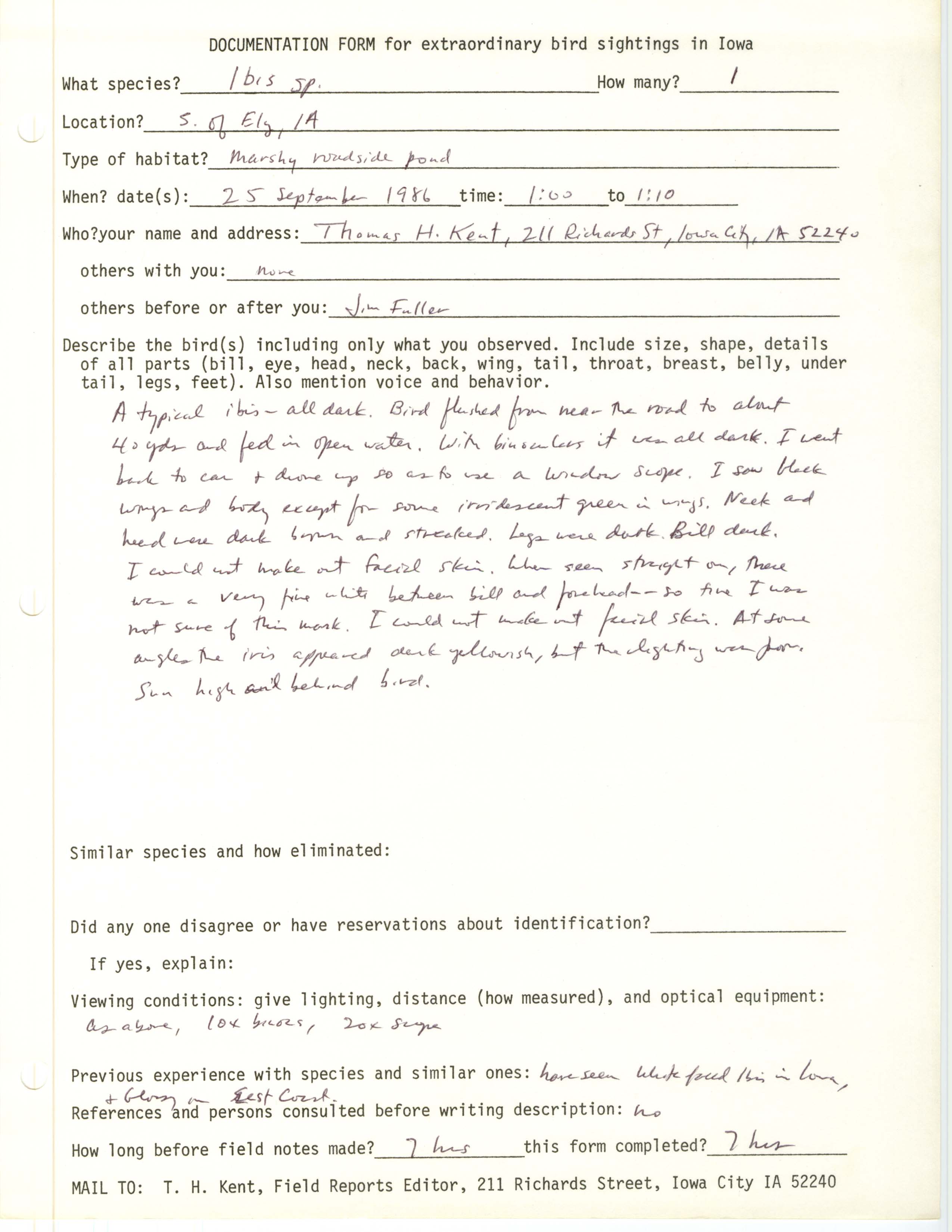 Rare bird documentation form for Ibis species at Ely, 1986