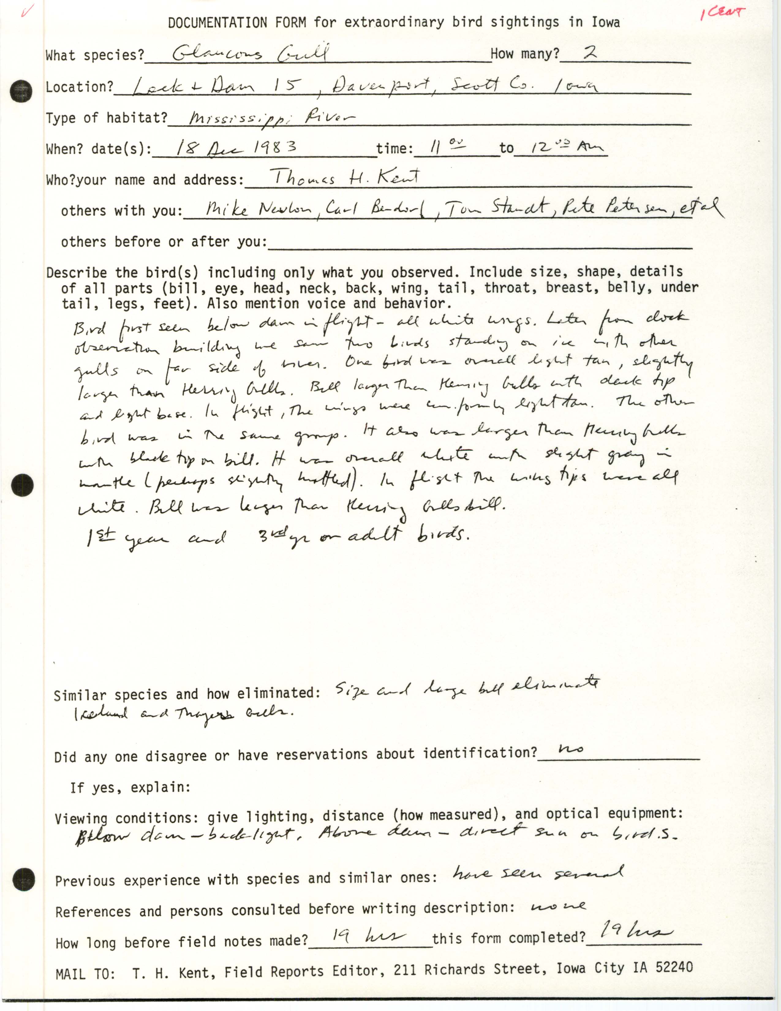 Rare bird documentation form for Glaucous Gull at Lock and Dam 15 at Davenport, 1983