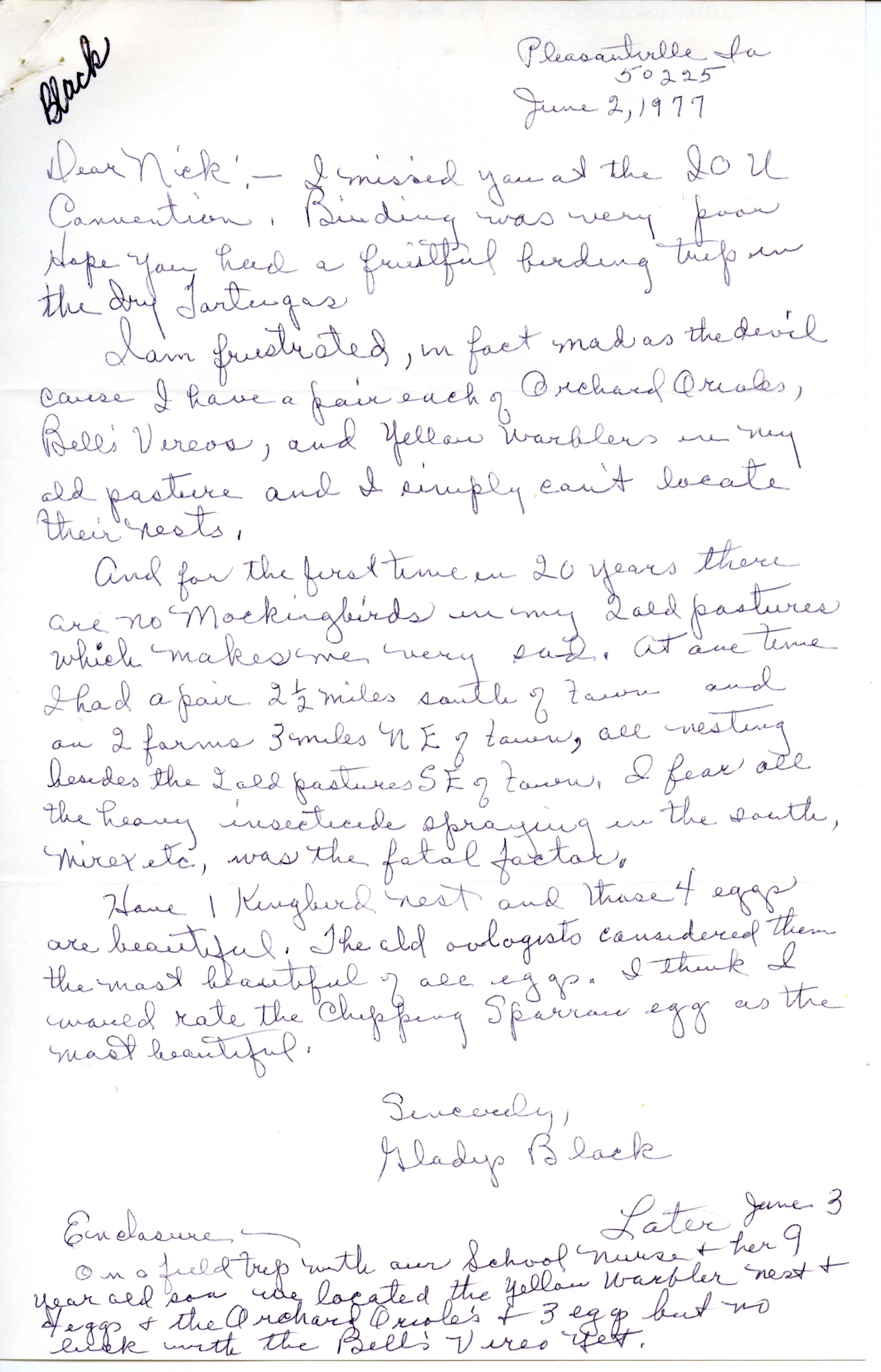 Gladys Black letter to Nicholas S. Halmi regarding bird sightings, June 2, 1977