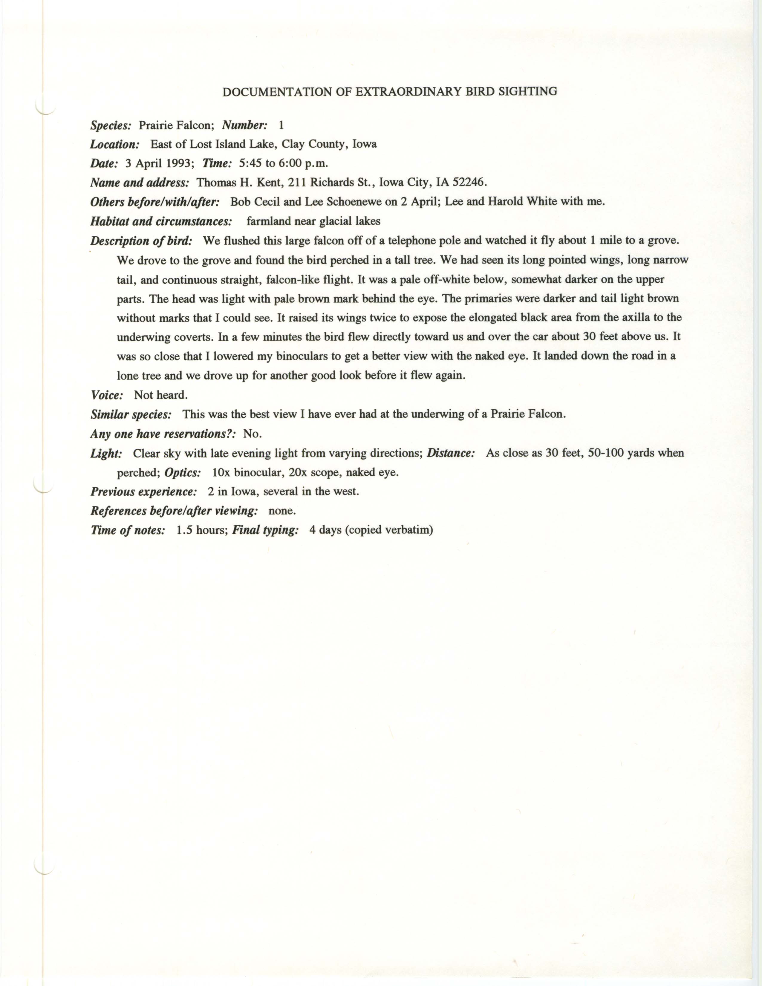 Rare bird documentation form for Prairie Falcon east of Lost Island Lake, 1993