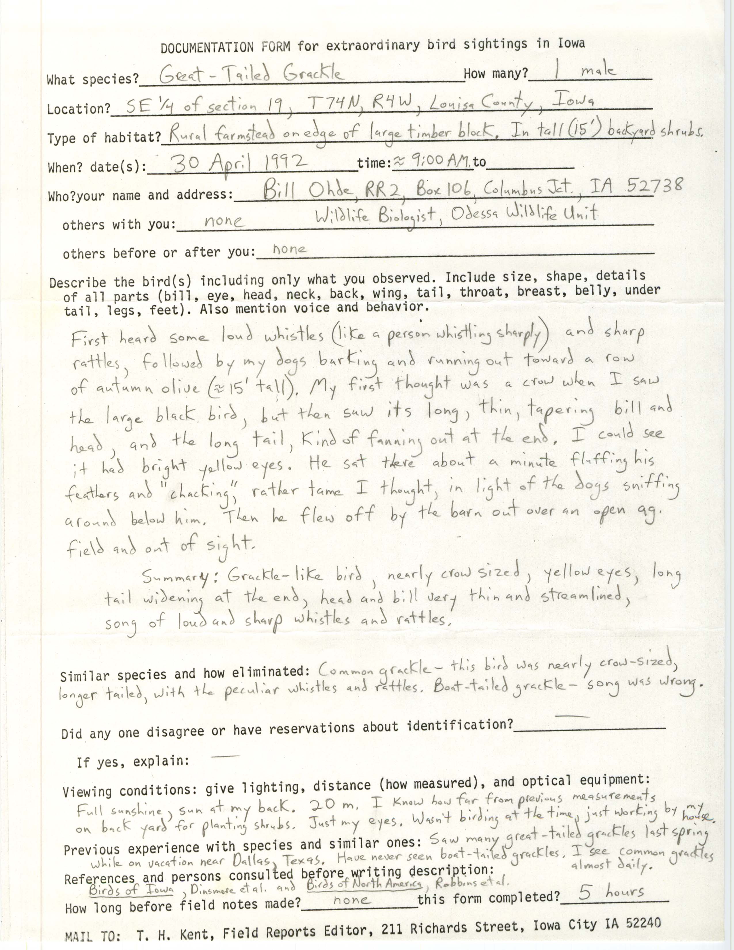 Rare bird documentation form for Great-tailed Grackle at Wapello Township in Louisa County, 1992