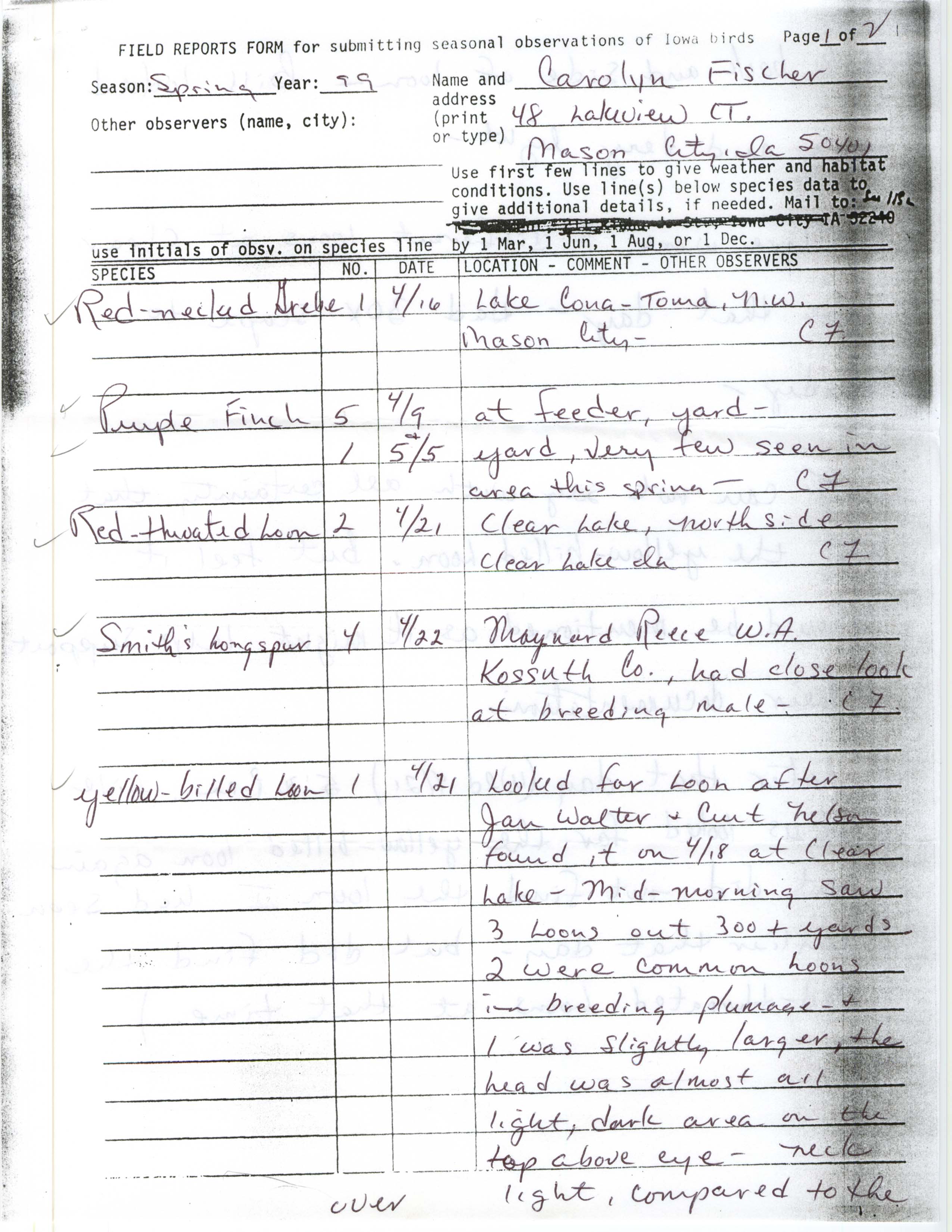 Field reports form for submitting seasonal observations of Iowa birds, Carolyn Fischer, spring 1999